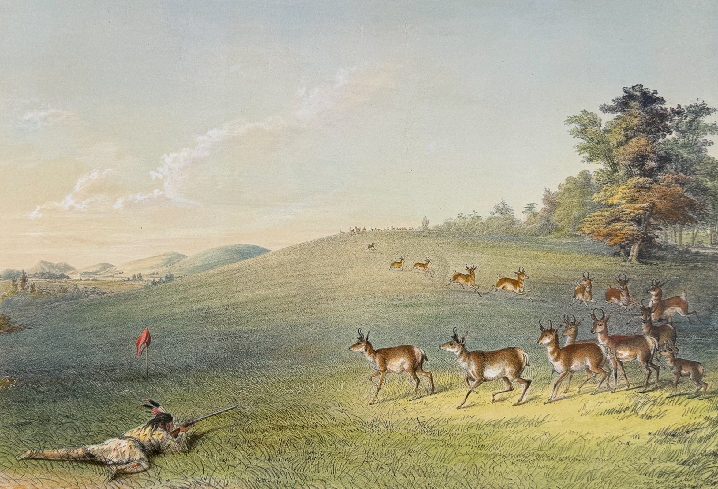 Catlin, Folio, On Card - Antelope Shooting