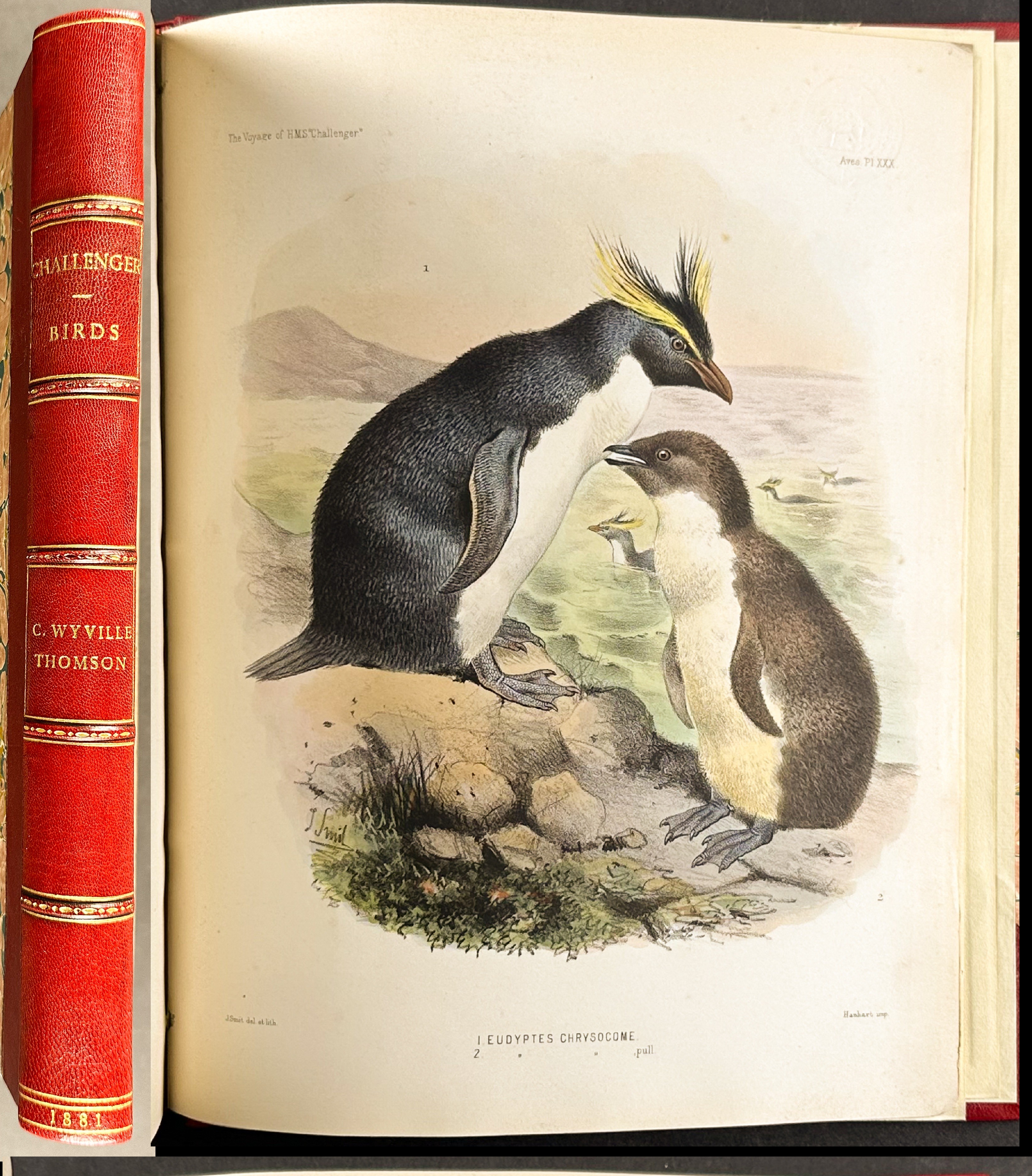 Thomson's The Voyage of the HMS Challenger - Volume with 30 Originally Hand-Colored Lithographs