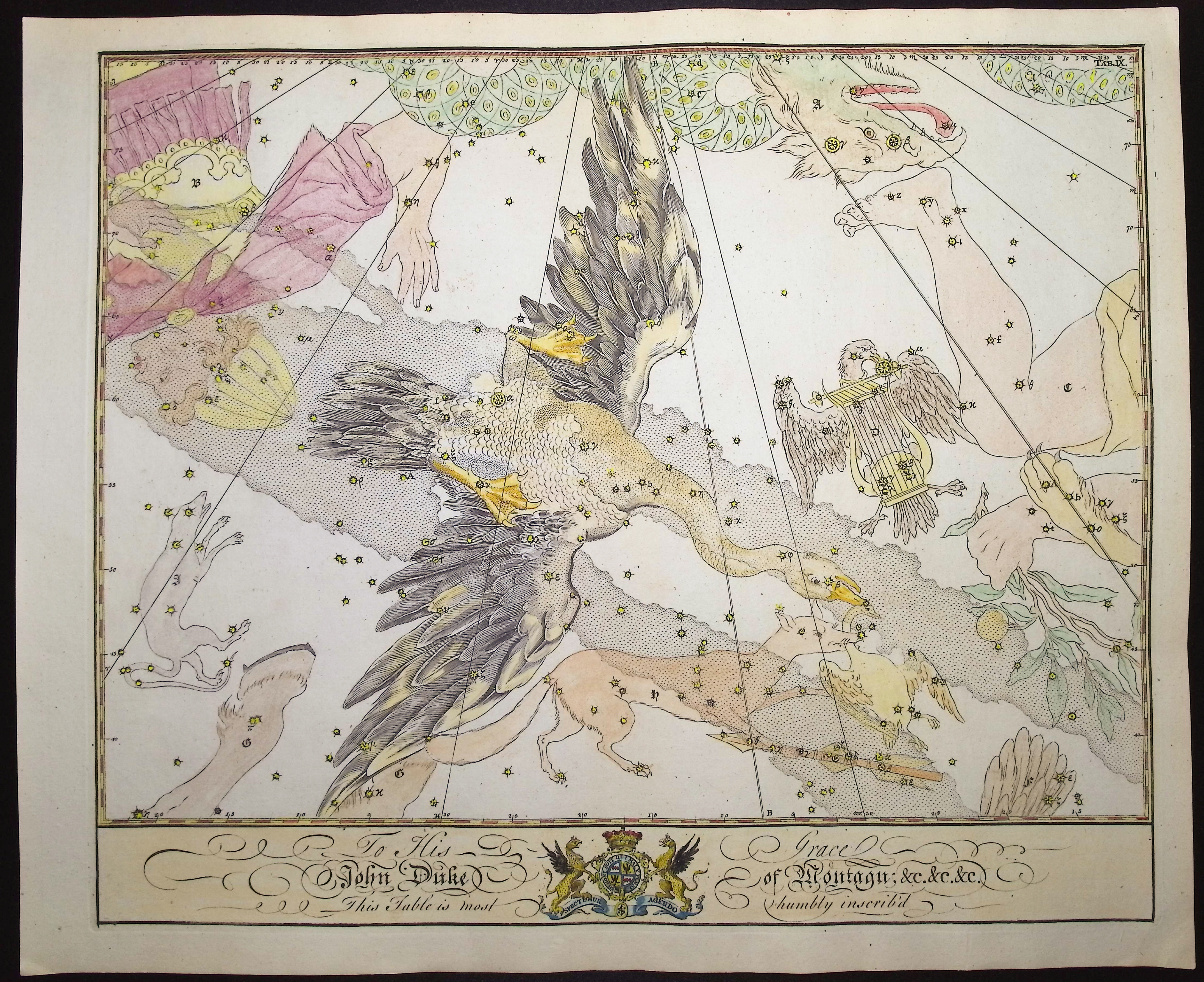 Bevis, Rare - Constellation or Star Chart of Cygnus (Swan)
