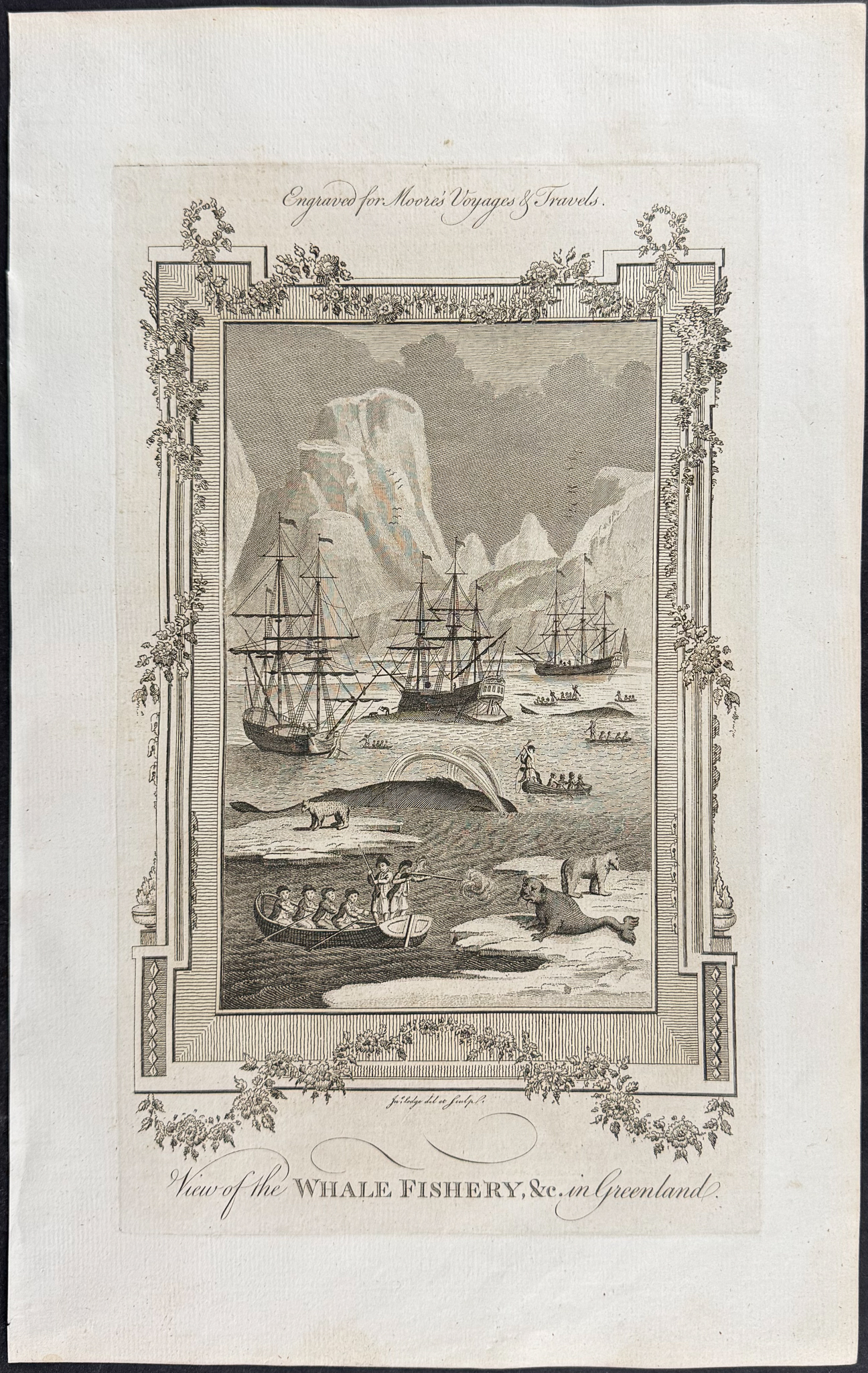 Moore & Conder - View of the Whale Fishery, &c in Greenland