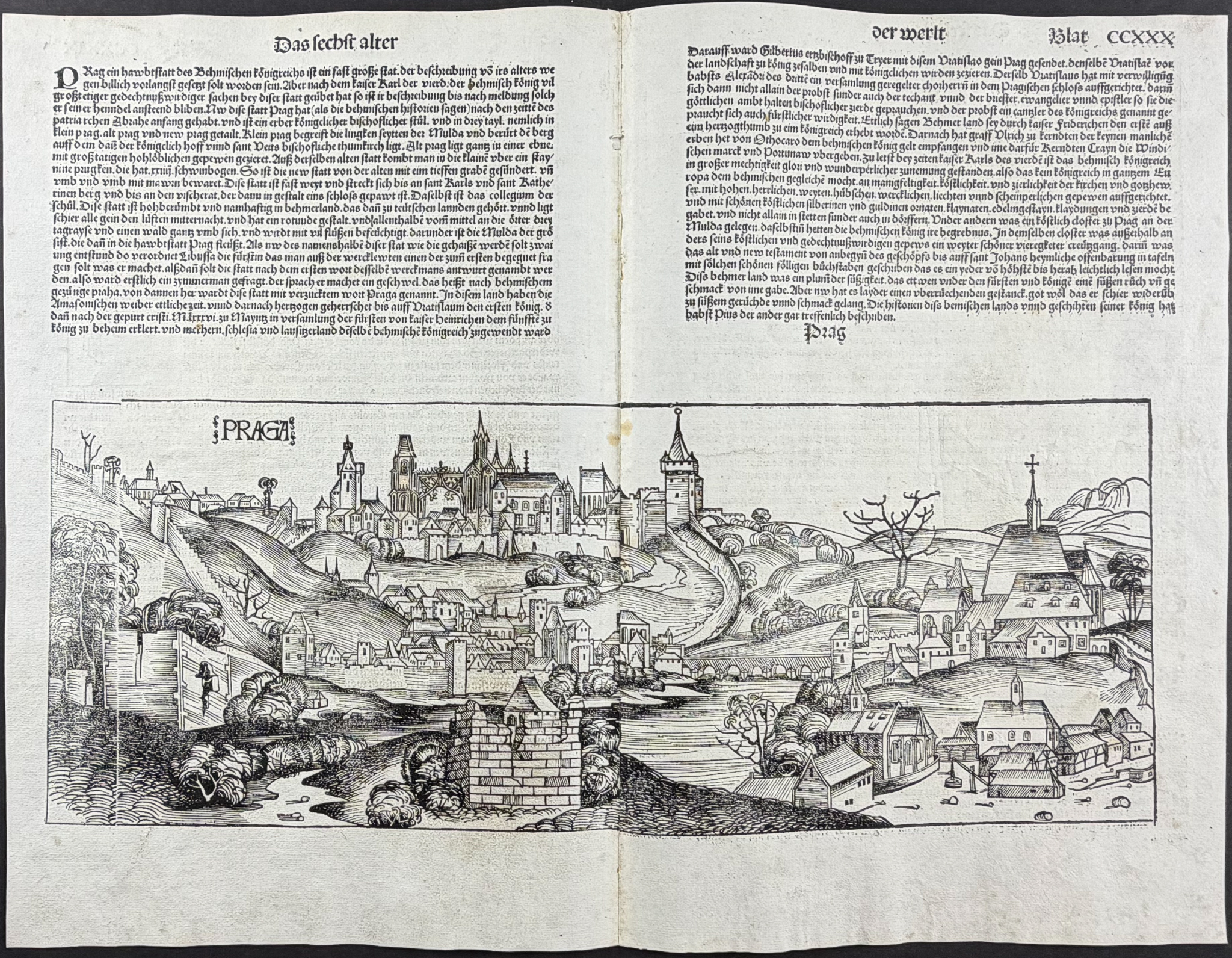 Schedel, pub. 1493 - View of Prague, Czech Republic / Verso: Burning of Jewish People, Religious and Historic Figures, Insects