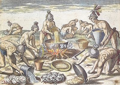 De Bry - Florida - Preparations for a feast. This significant, historic engraving is from 