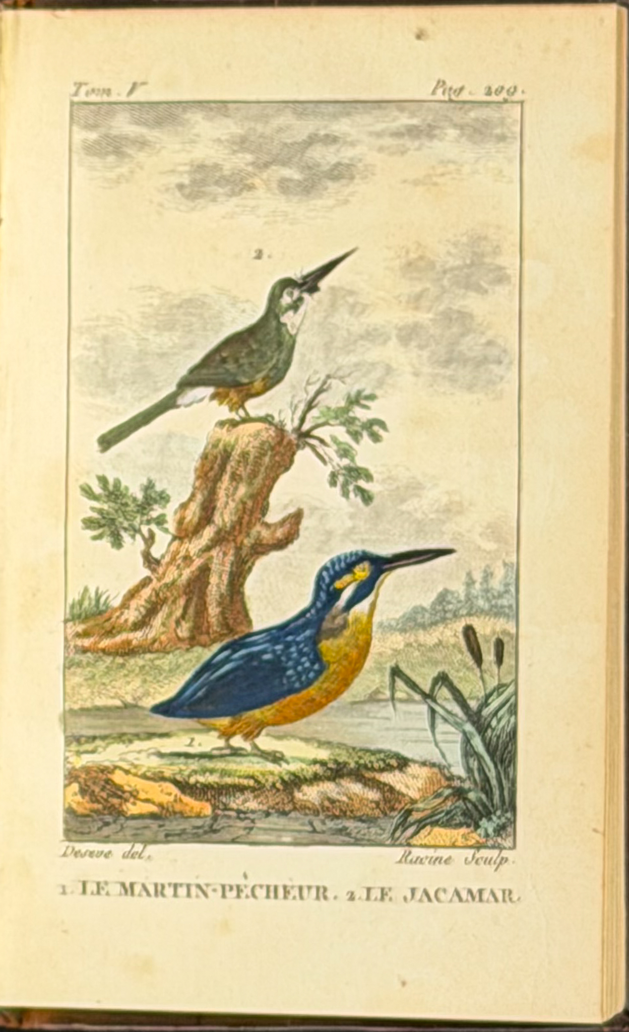 Buffon's Histoire Naturelle (Birds) - 16 Volumes with 123 Originally Hand Colored Engravings