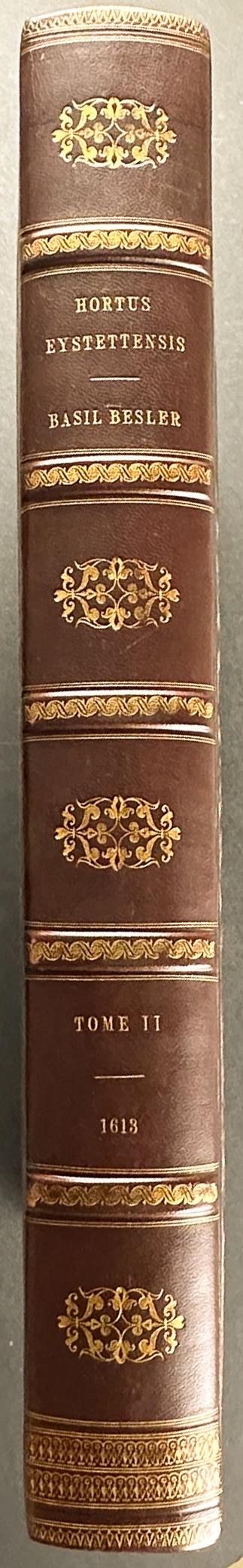 Besler's Hortus Eystettensis - First Edition - Two Volumes with 366 Botanical Engravings