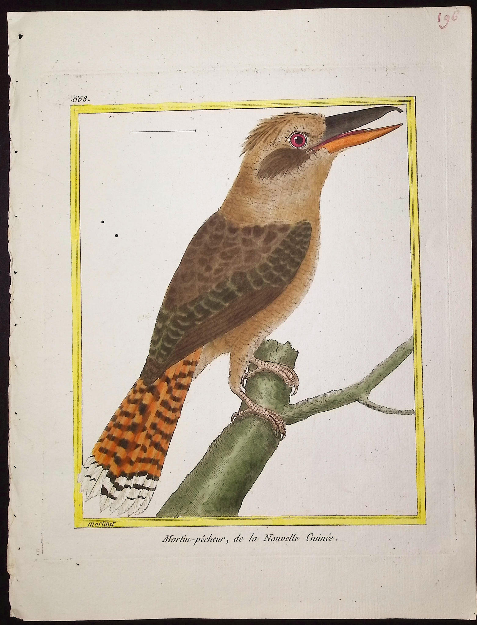 Martinet & Buffon - 6 Kingfisher Engravings