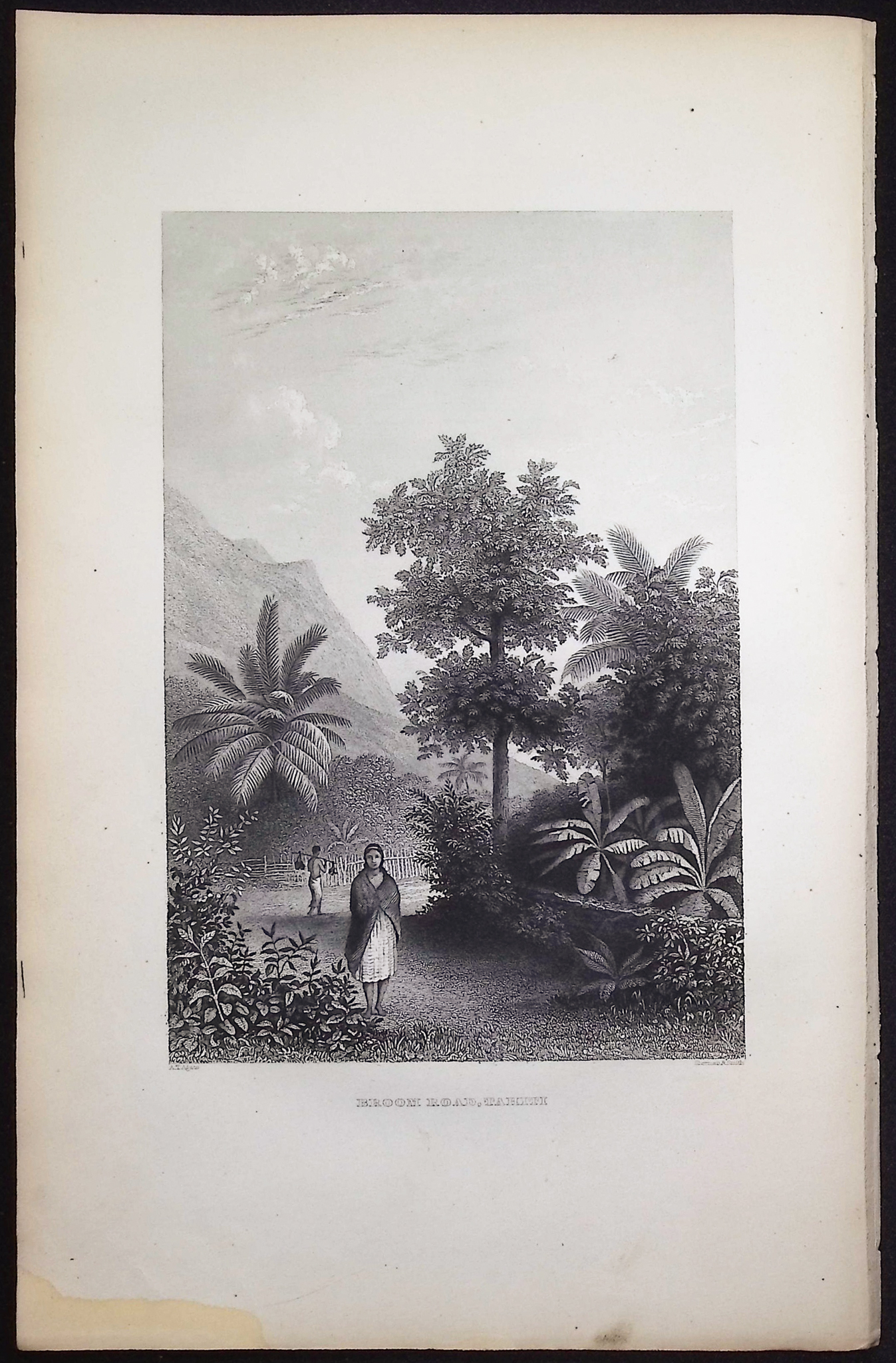 Wilkes - Broom Road, Tahiti