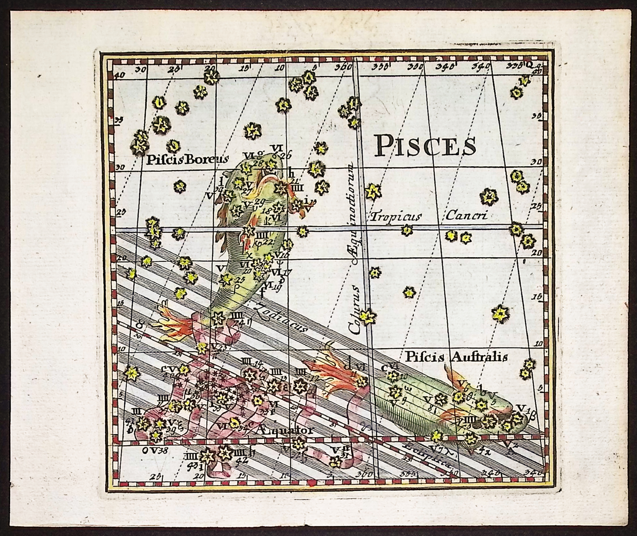 Thomas - Constellation or Celestial Chart of Pisces (Fish)