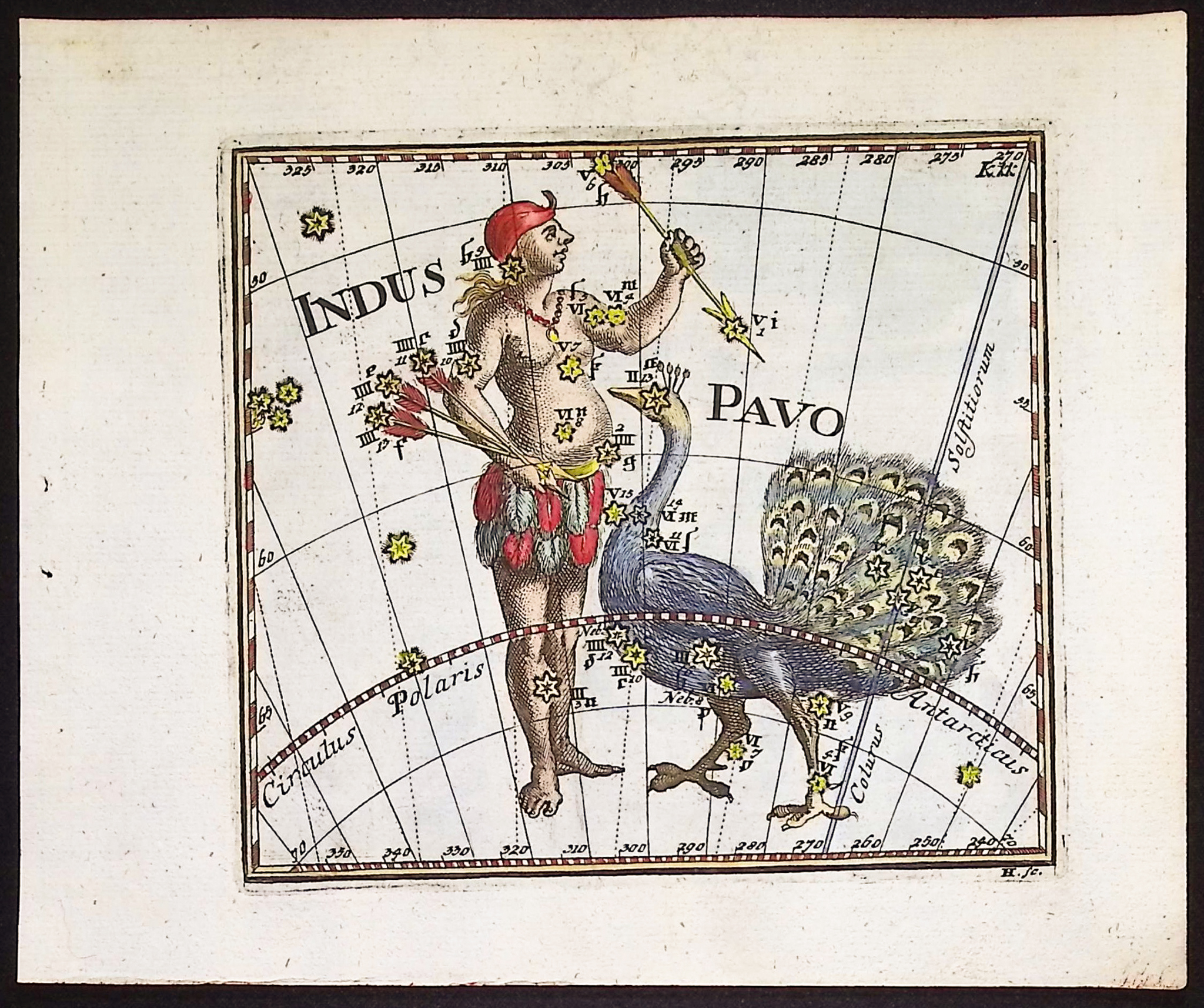 Thomas - Constellation or Celestial Chart of Indus (Indian) & Pavo (Peacock)