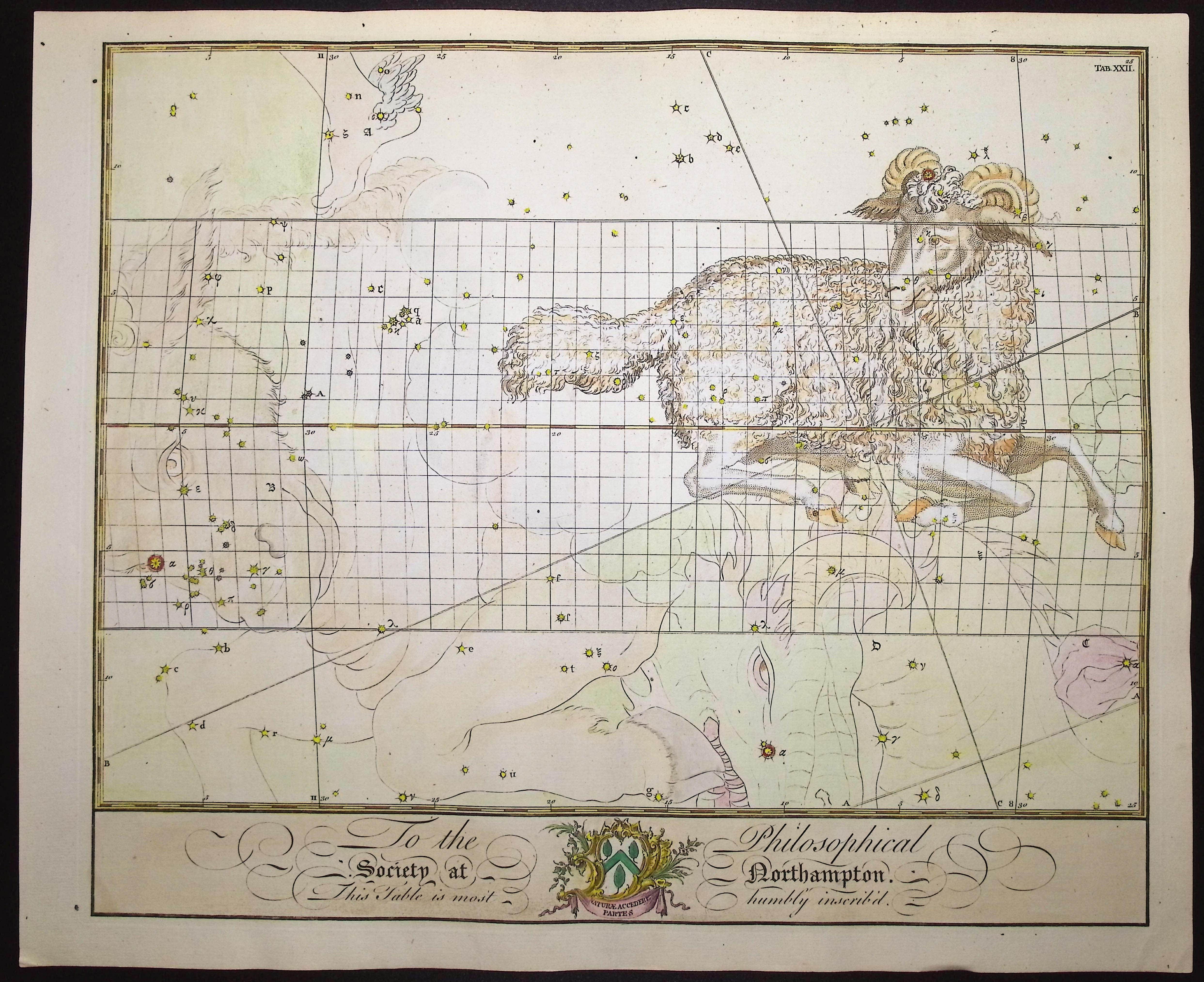 Bevis, Rare - Constellation or Star Chart of Aries (Ram)