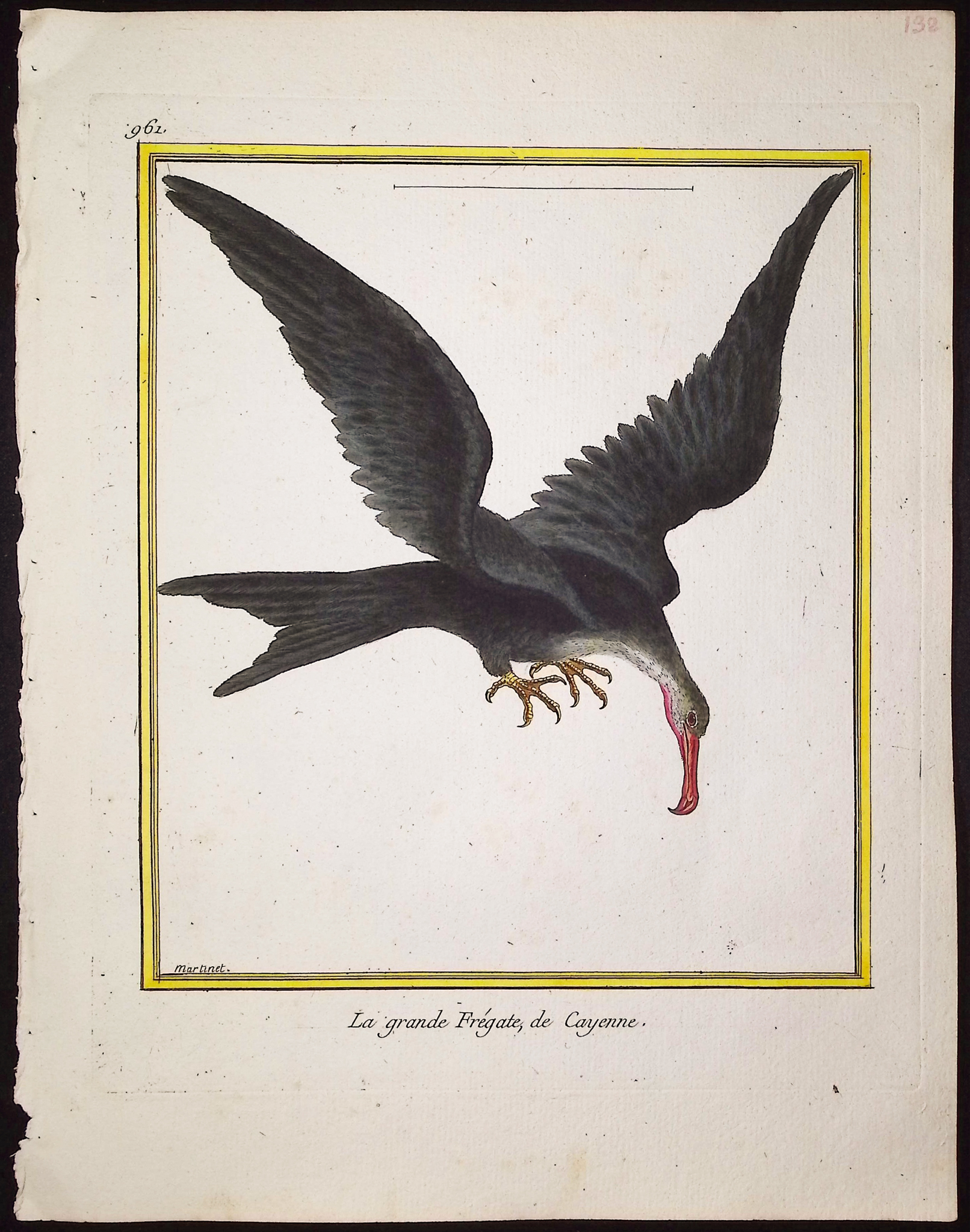 Martinet & Buffon - 6 Water or Shore Bird Engravings