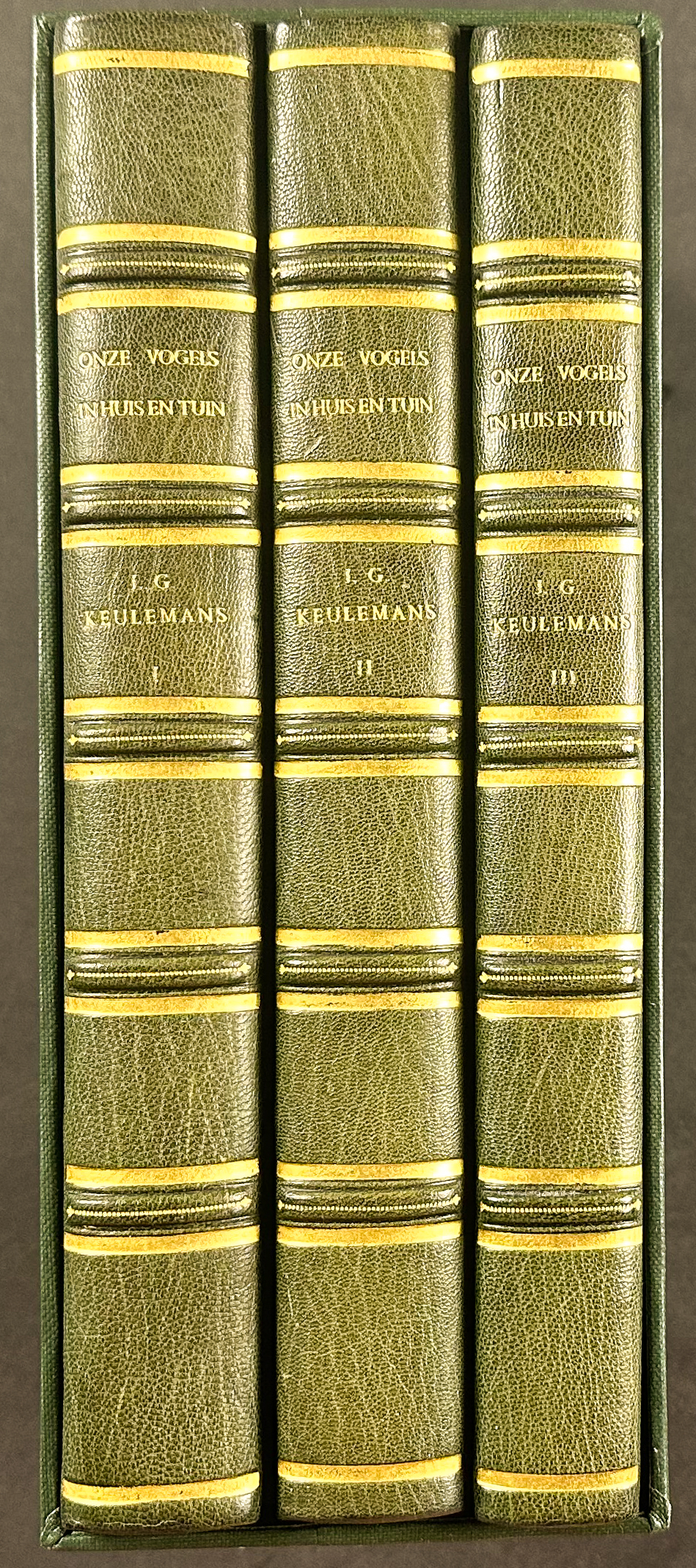Keulemans' Onze Vogel - Three Volumes with 200 Originally Hand-colored Lithographs