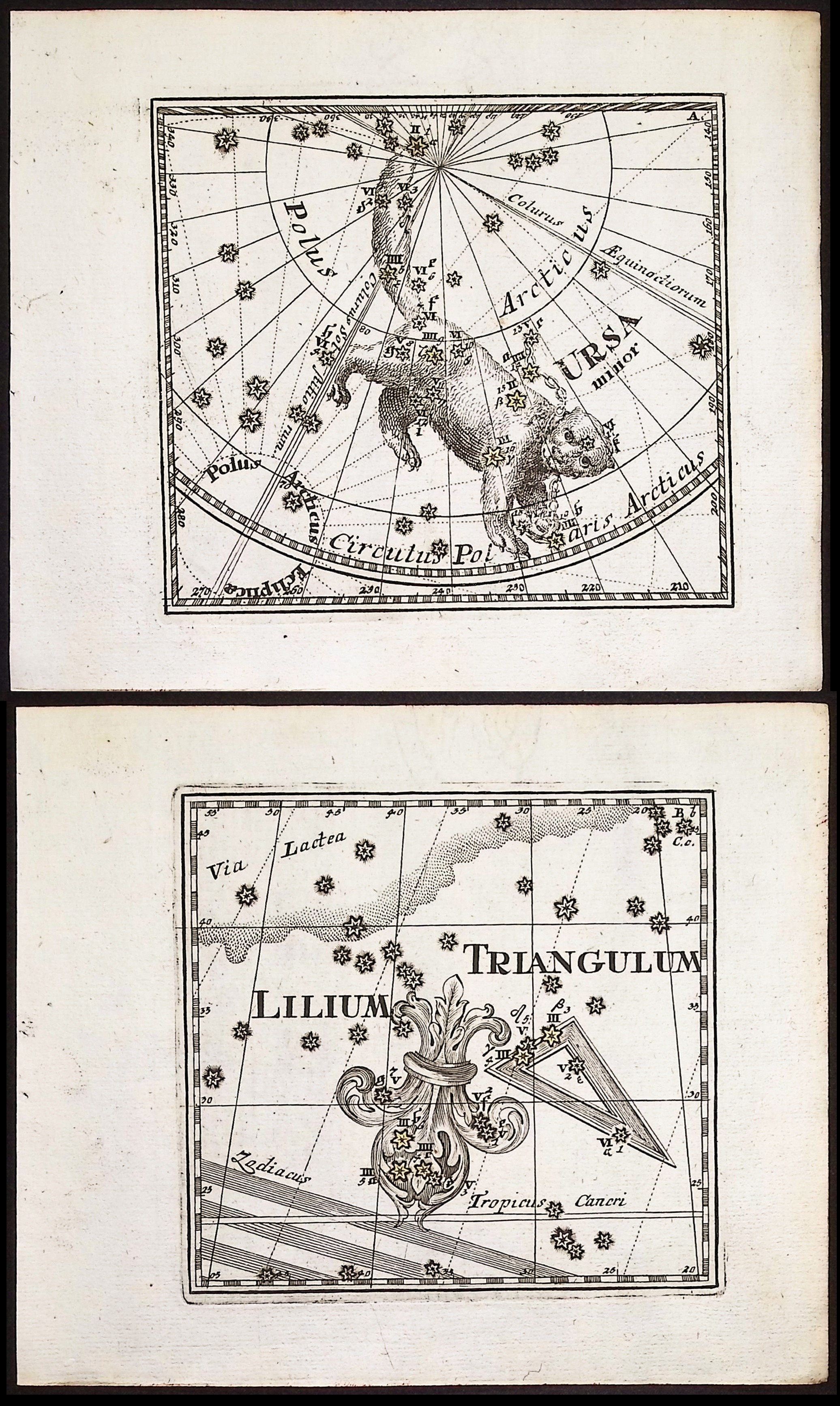 Thomas - 6 Constellation or Celestial Chart Engravings