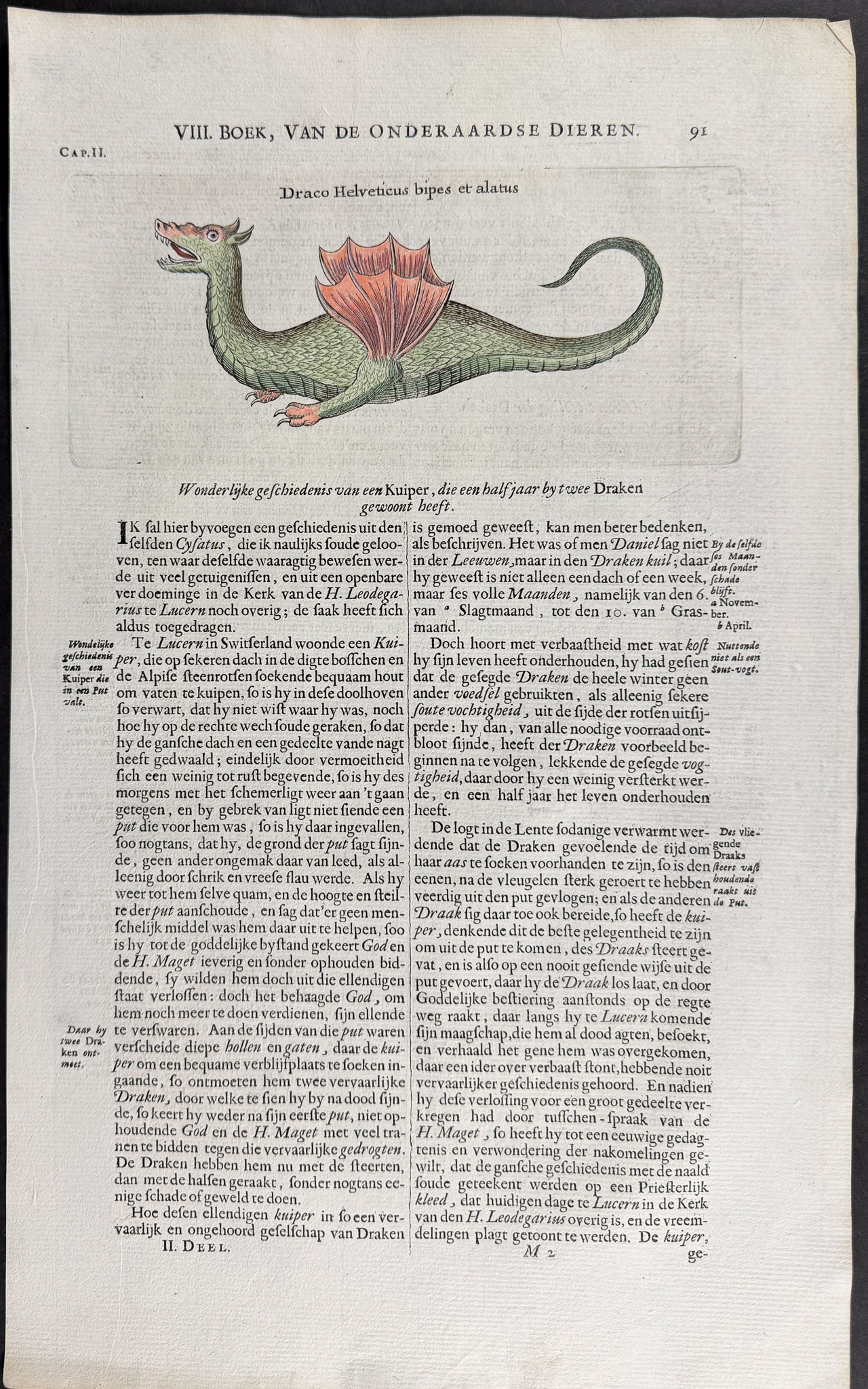 Kircher, pub. 1682 - Dragons
