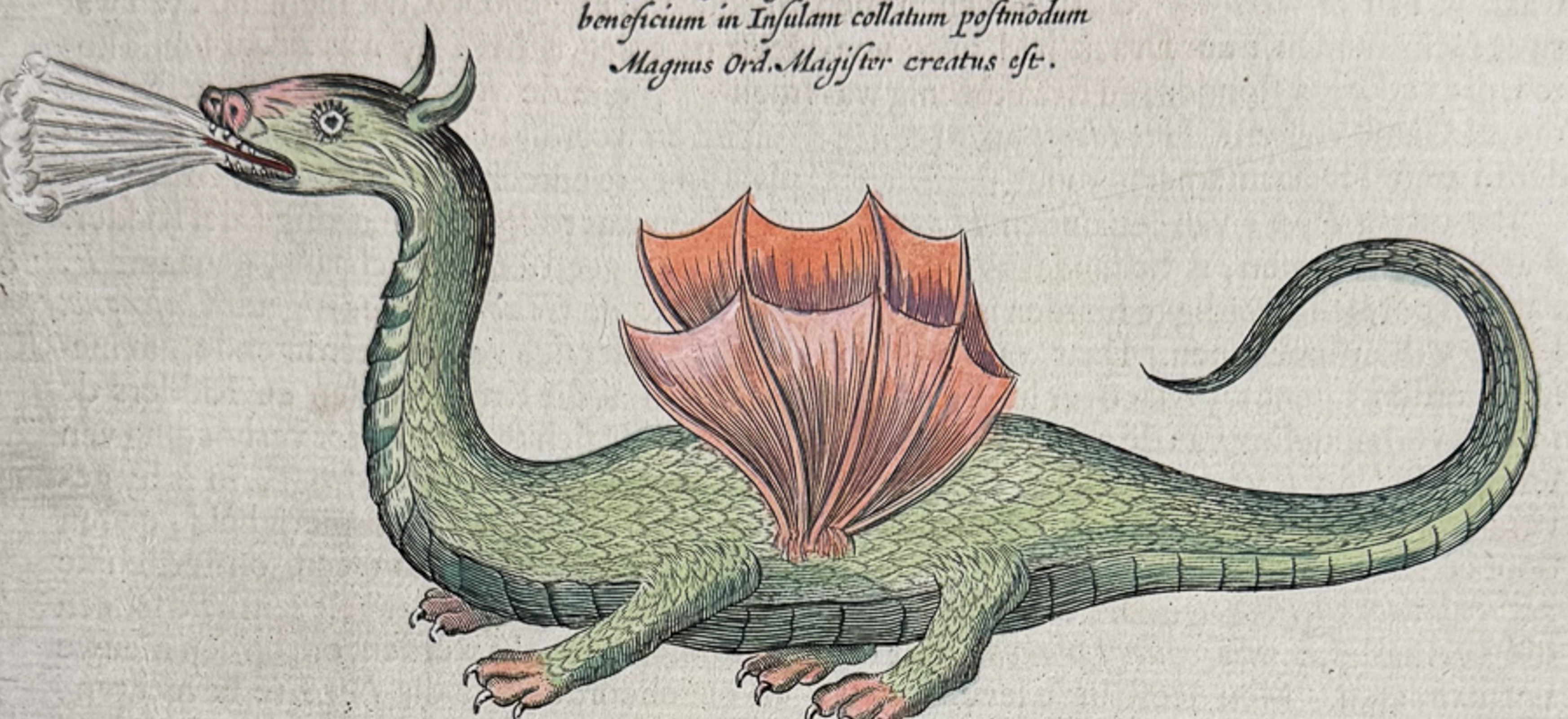 Kircher, pub. 1682 - Dragons