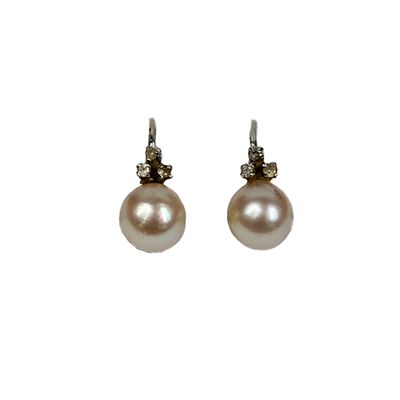 ELEGANTE COPPIA DI ORECCHINI - ELEGANTE COPPIA DI ORECCHINI in oro bianco 18 kt montati con perla 
