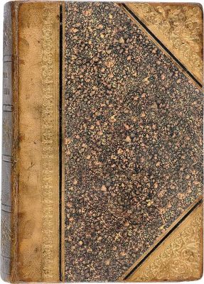 Брикнер А. Г. История Петра Великого. Текст А. Г. Брикнера, профессора русской истории в 