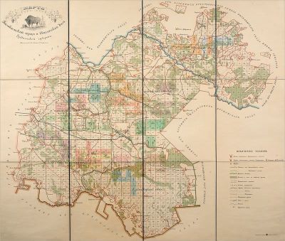 Карта Беловежской пущи и Свислочской дачи Гродненской губернии. Карта Беловежской пущи и 