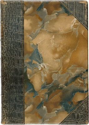 Белоконский И. П. Земство и конституция. С рисунками, исполненными институтом Брукман в Мюнхене. 