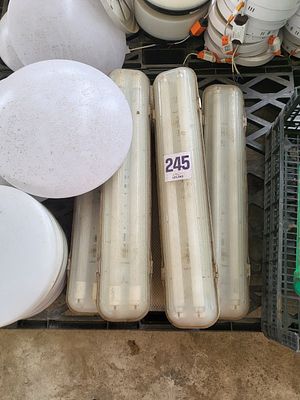 L&acirc;mpada fluorescente, para exterior, com suporte. 6 unidades