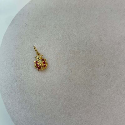 תליון חיפושית משובץ אבני רוב ויהלום טבעיים 0.09 קראט זהב 14K צהוב מק״ט 720. תליון חיפושית משובץ 