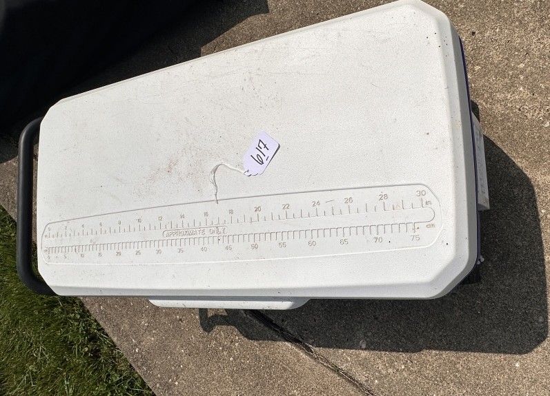 Lot 617: COOLER & BAG