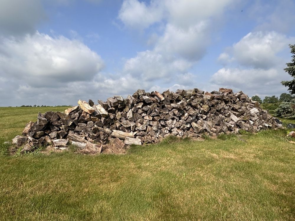 Lot 623: FIREWOOD