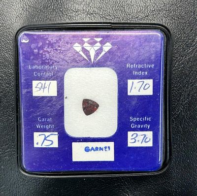 1 - GARNET GEM. 541 LABORATORY CONTROL, .45 CARAT WEIGHT, 1.70 REFRACTIVE INDEX, 3.70 SPECIFIC GRAVITY