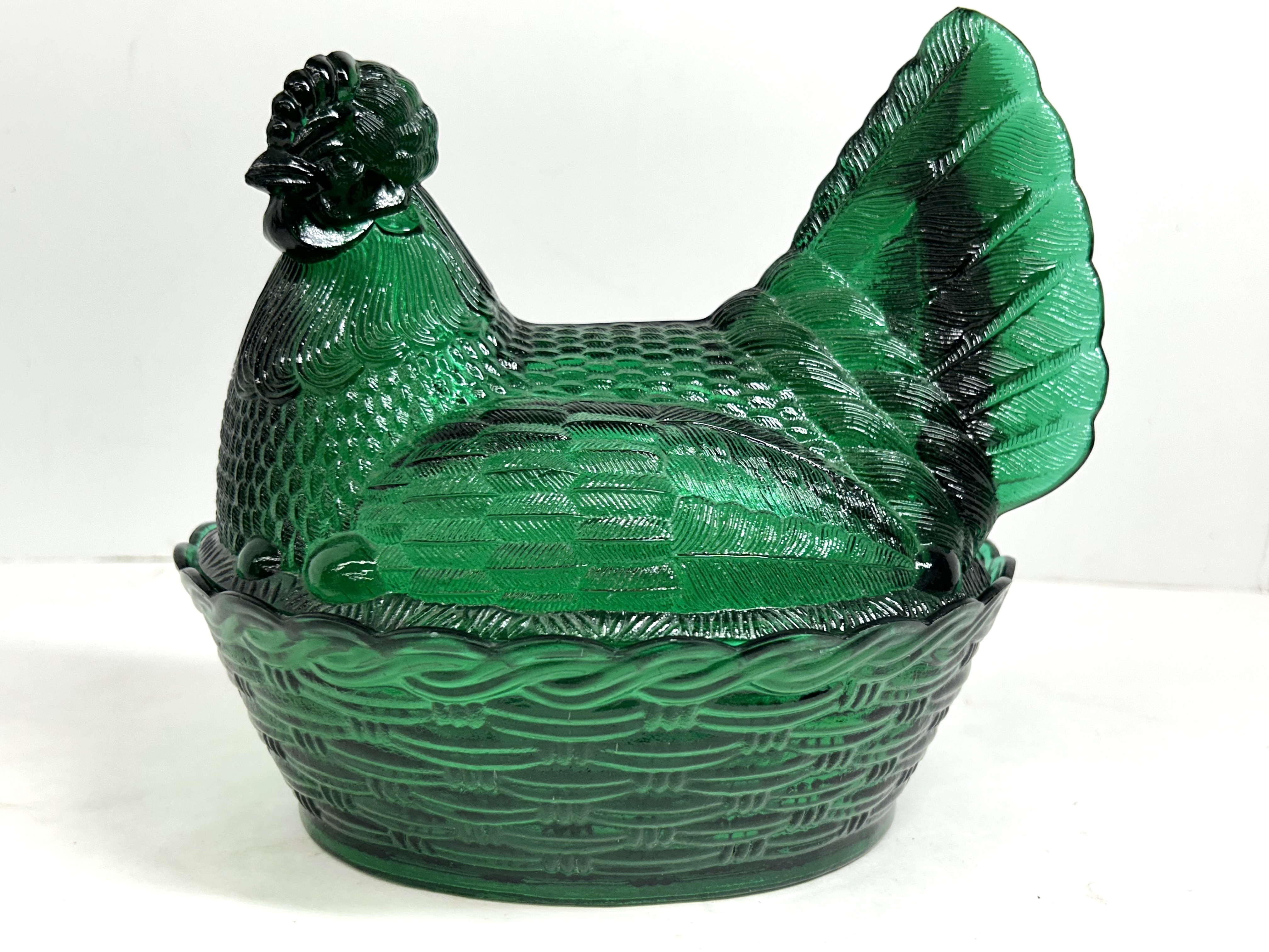 EMERALD GREEN HEN ON NEST