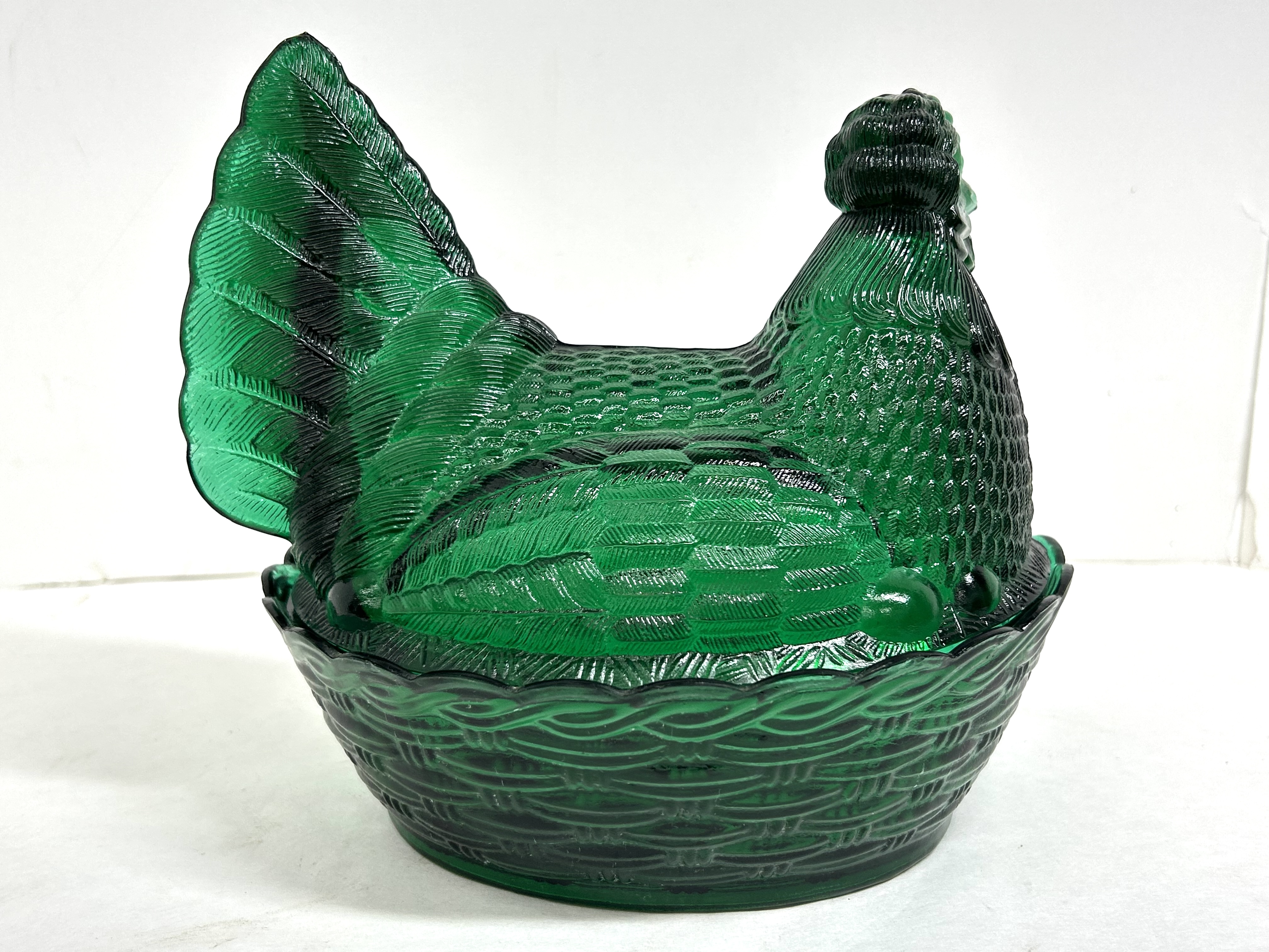 EMERALD GREEN HEN ON NEST