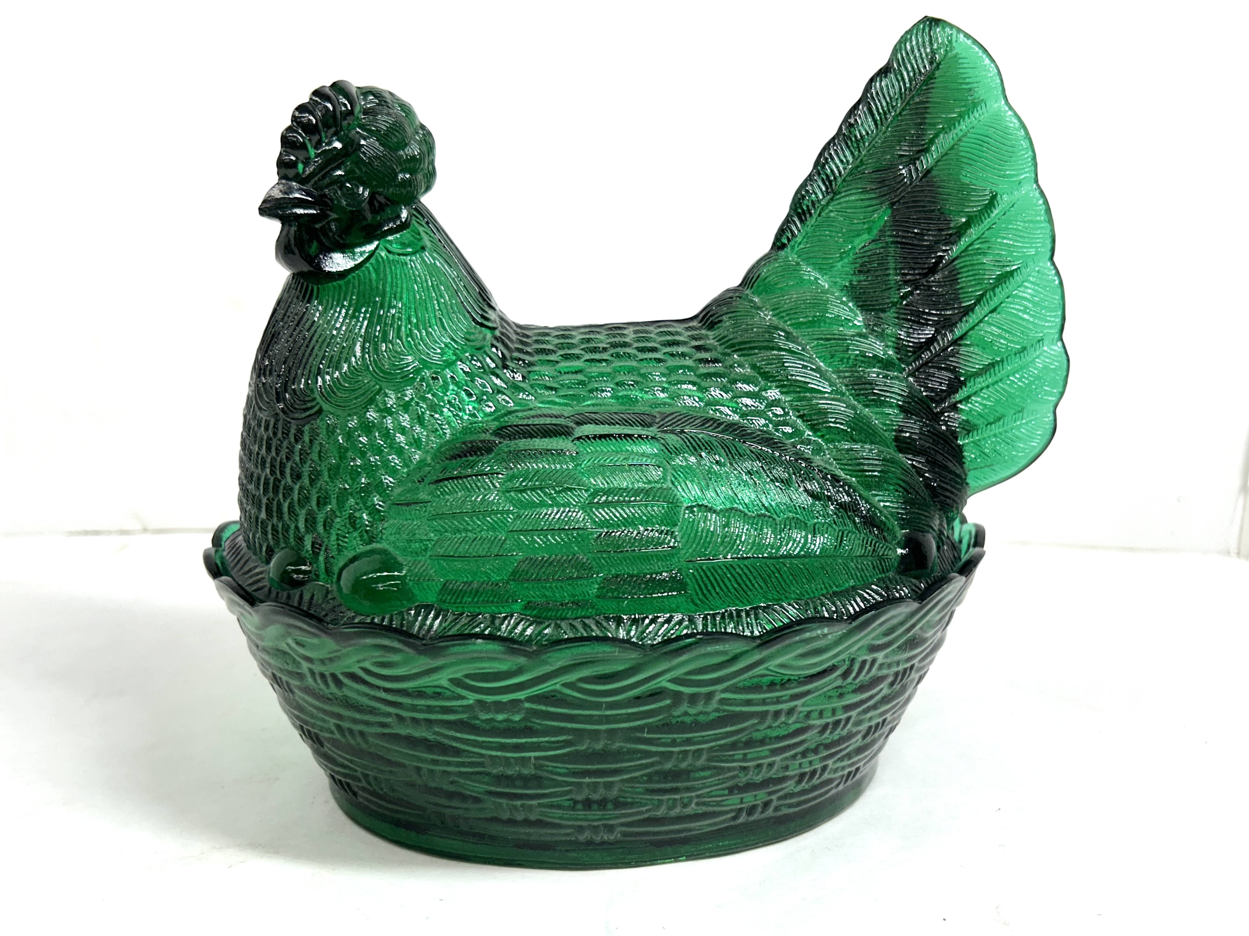 EMERALD GREEN HEN ON NEST
