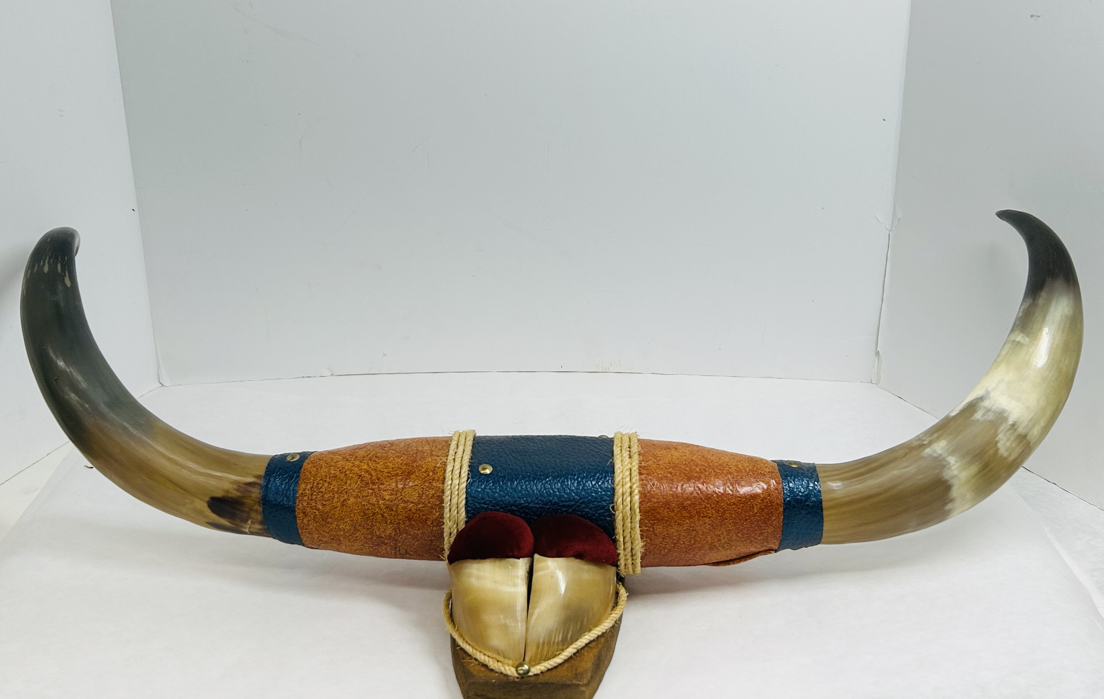 VINTAGE MOUNTED STEER HORNS AND HOOVES
