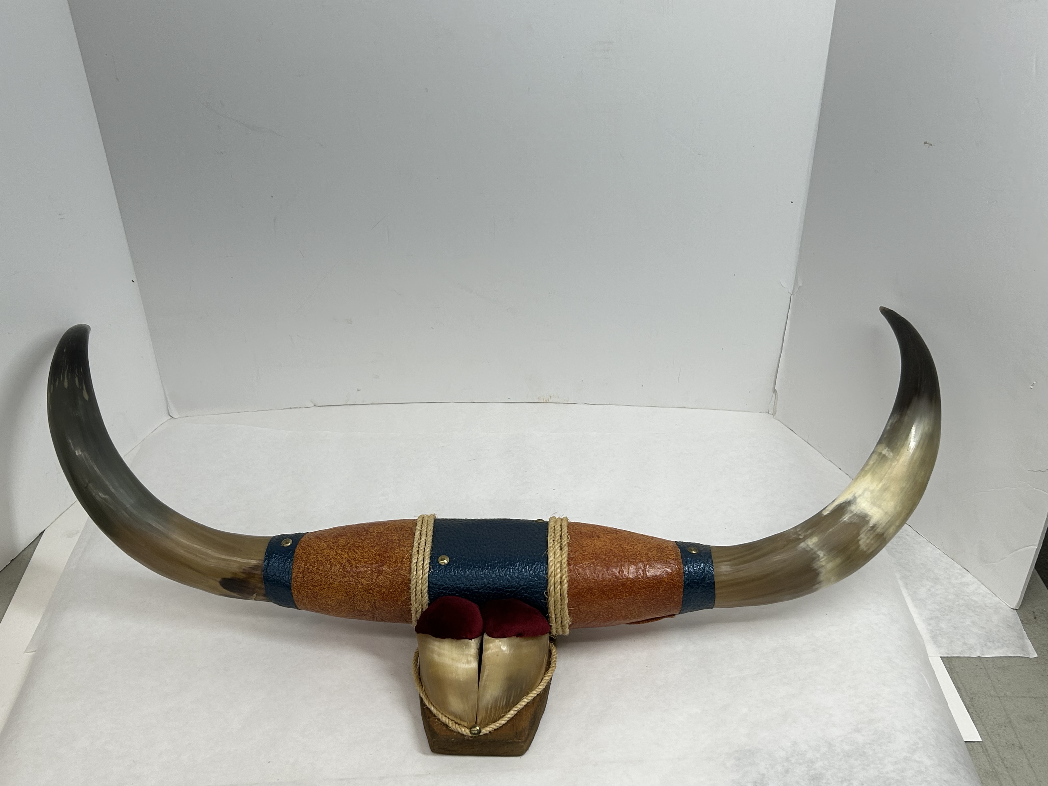 VINTAGE MOUNTED STEER HORNS AND HOOVES