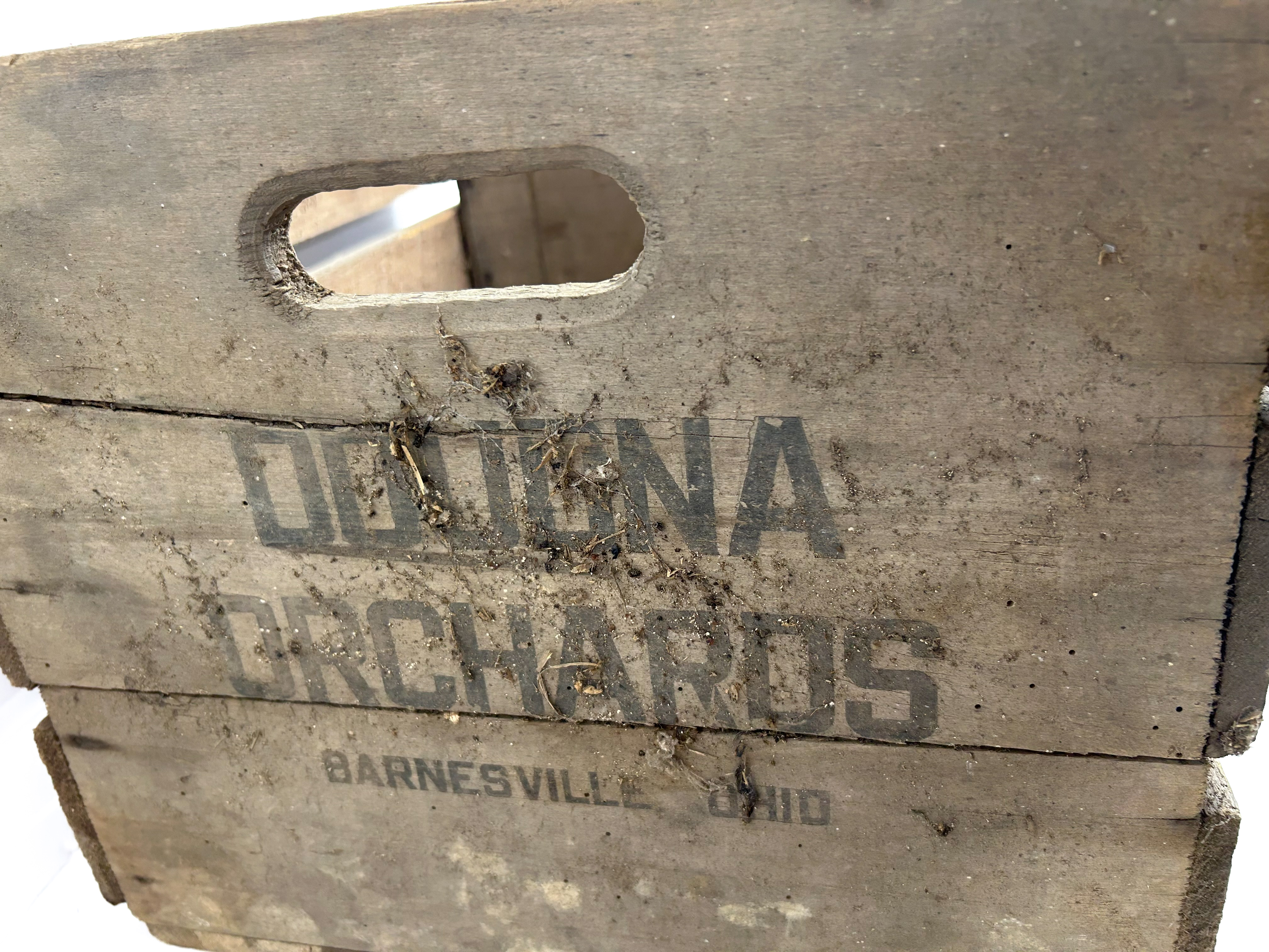 DOUDNA ORCHARDS WOODEN ORCHARD CRATE
