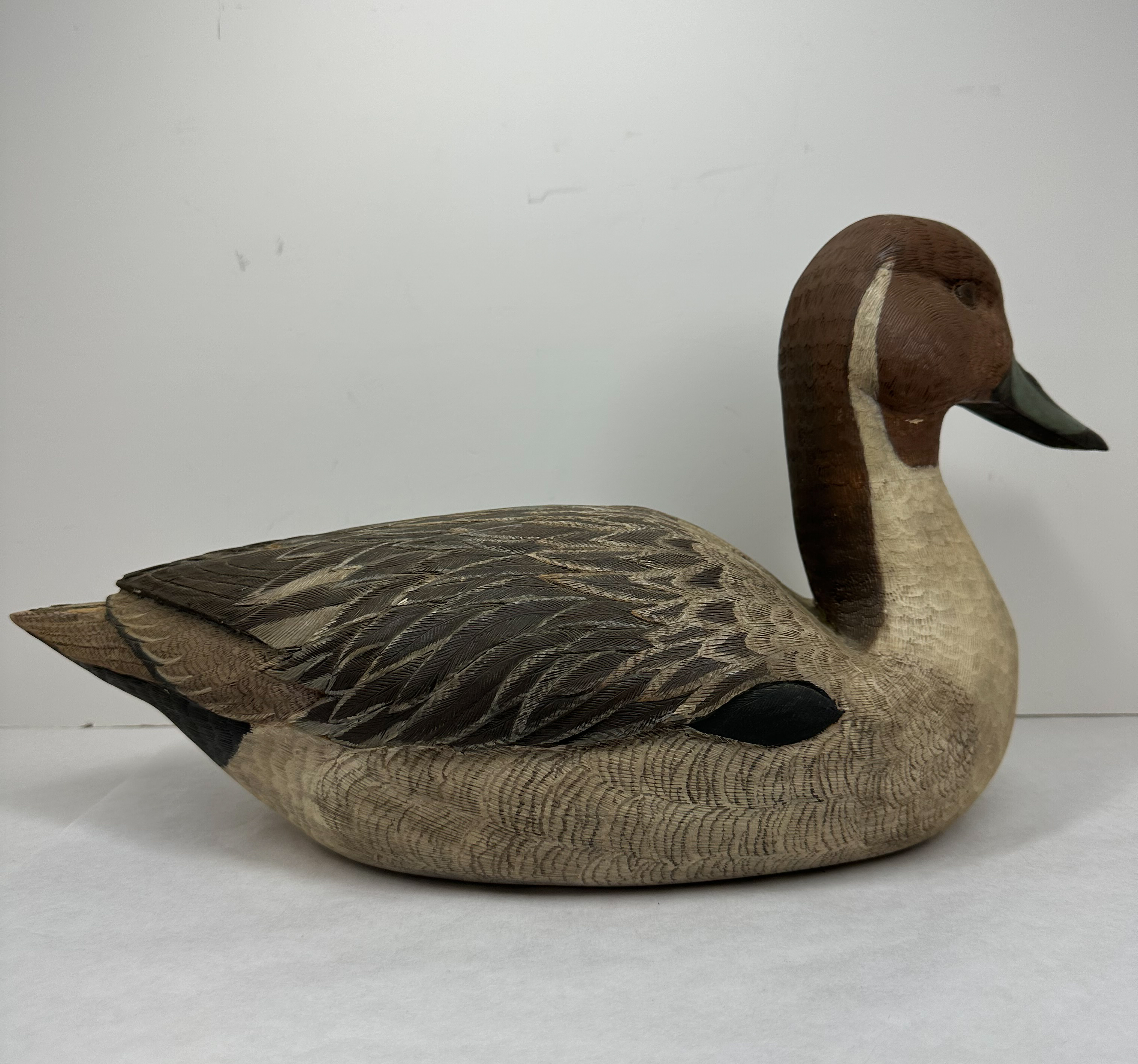 P.J. ADAMS POPLAR PINTAIL DRAKE