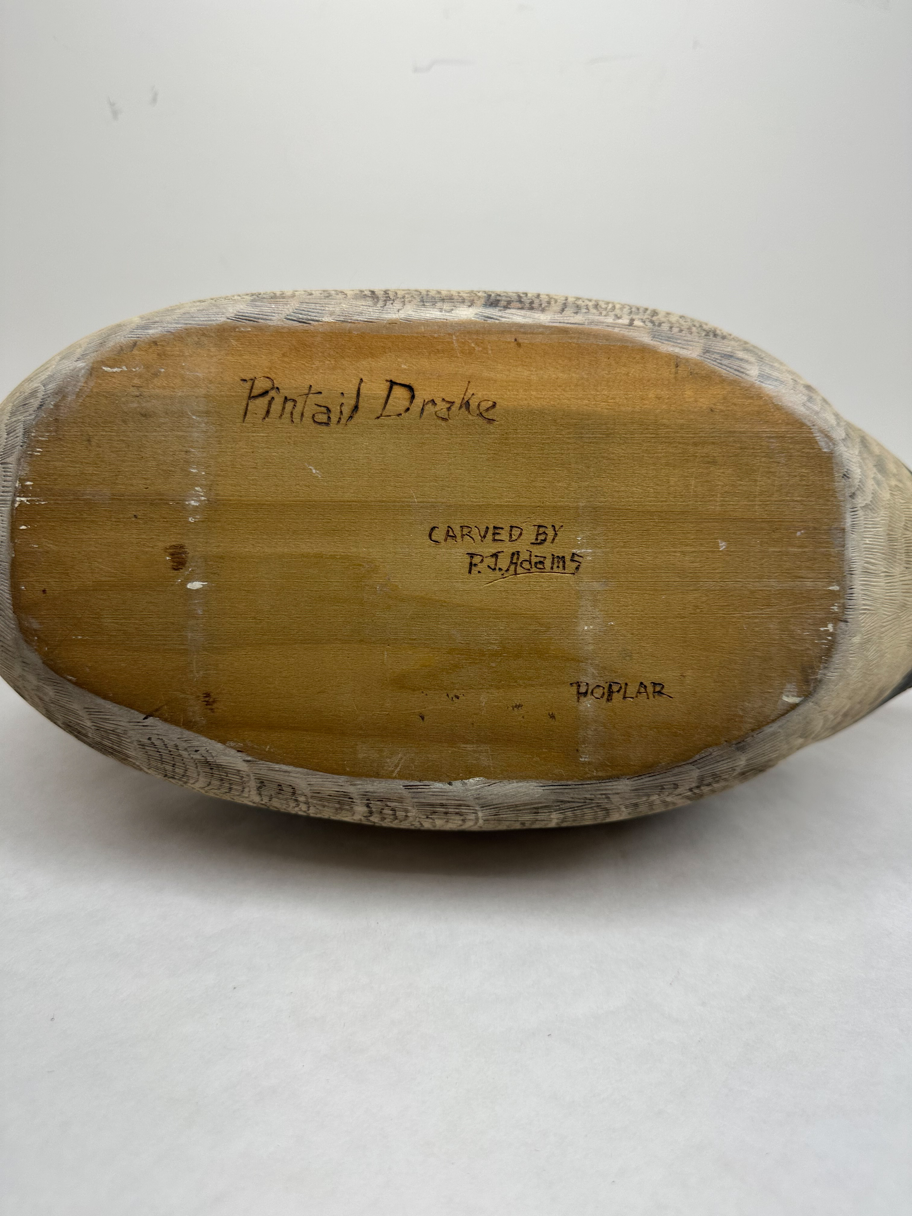 P.J. ADAMS POPLAR PINTAIL DRAKE