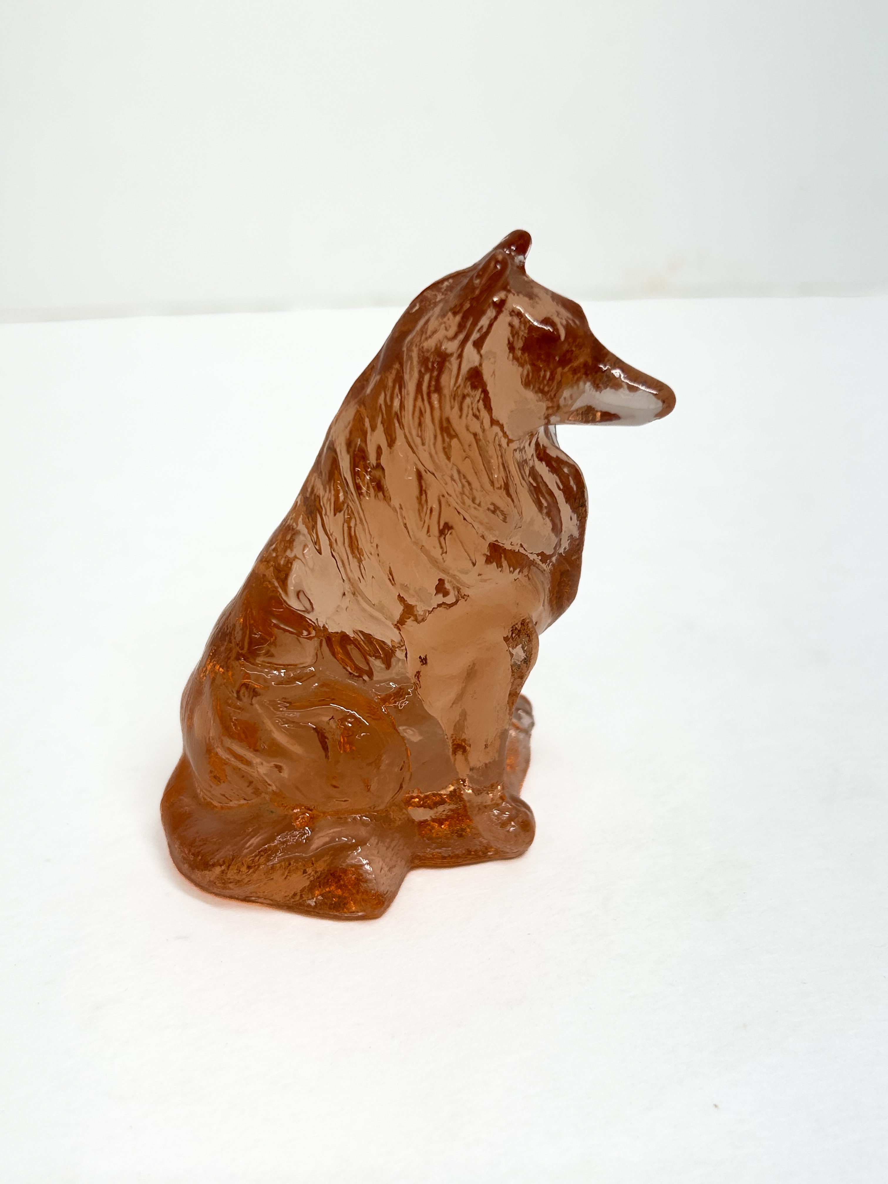 MOSSER AMBER COLLIE, C. 1970