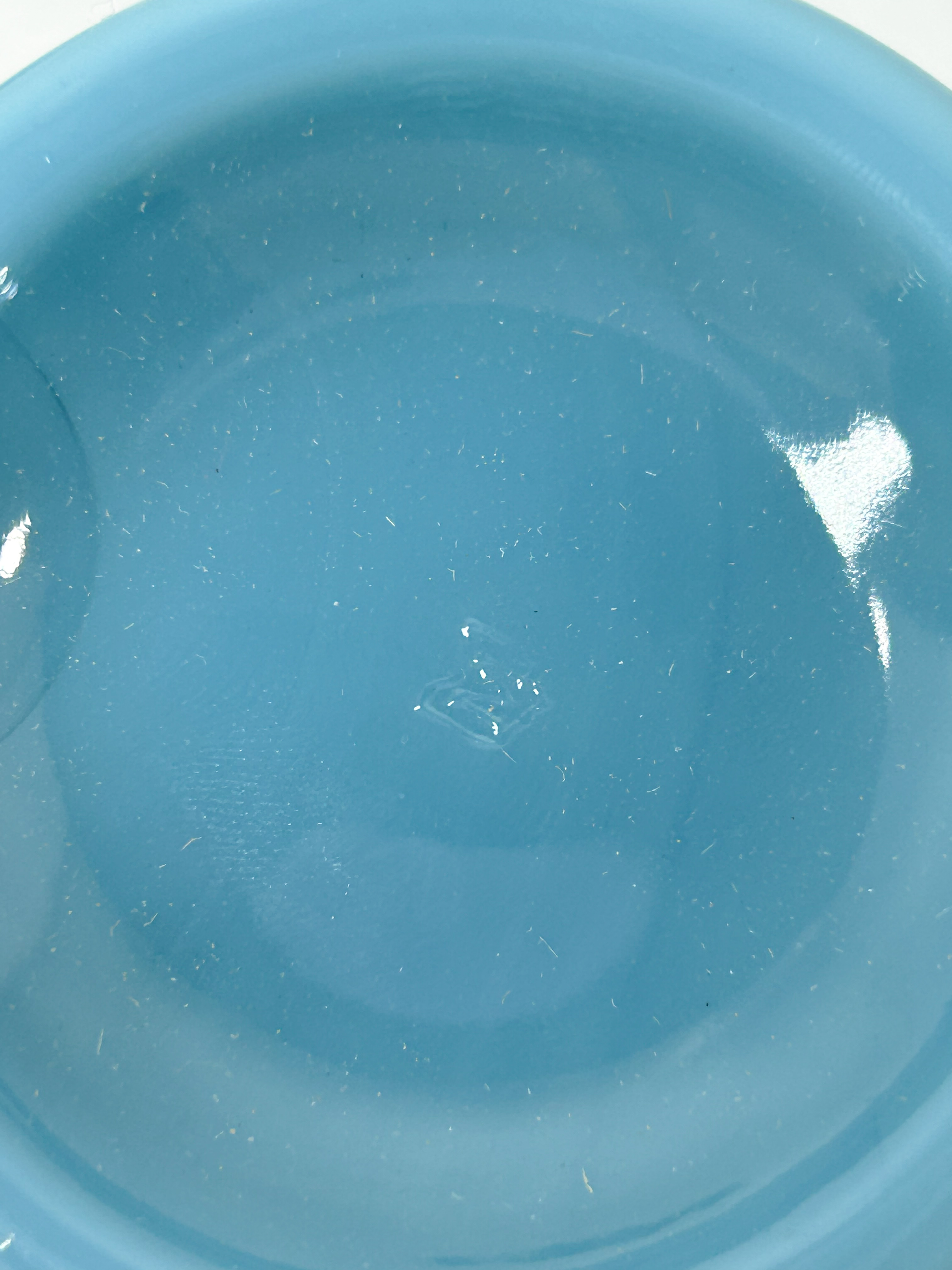 MOSSER GEORGIA BLUE DINNERWARE