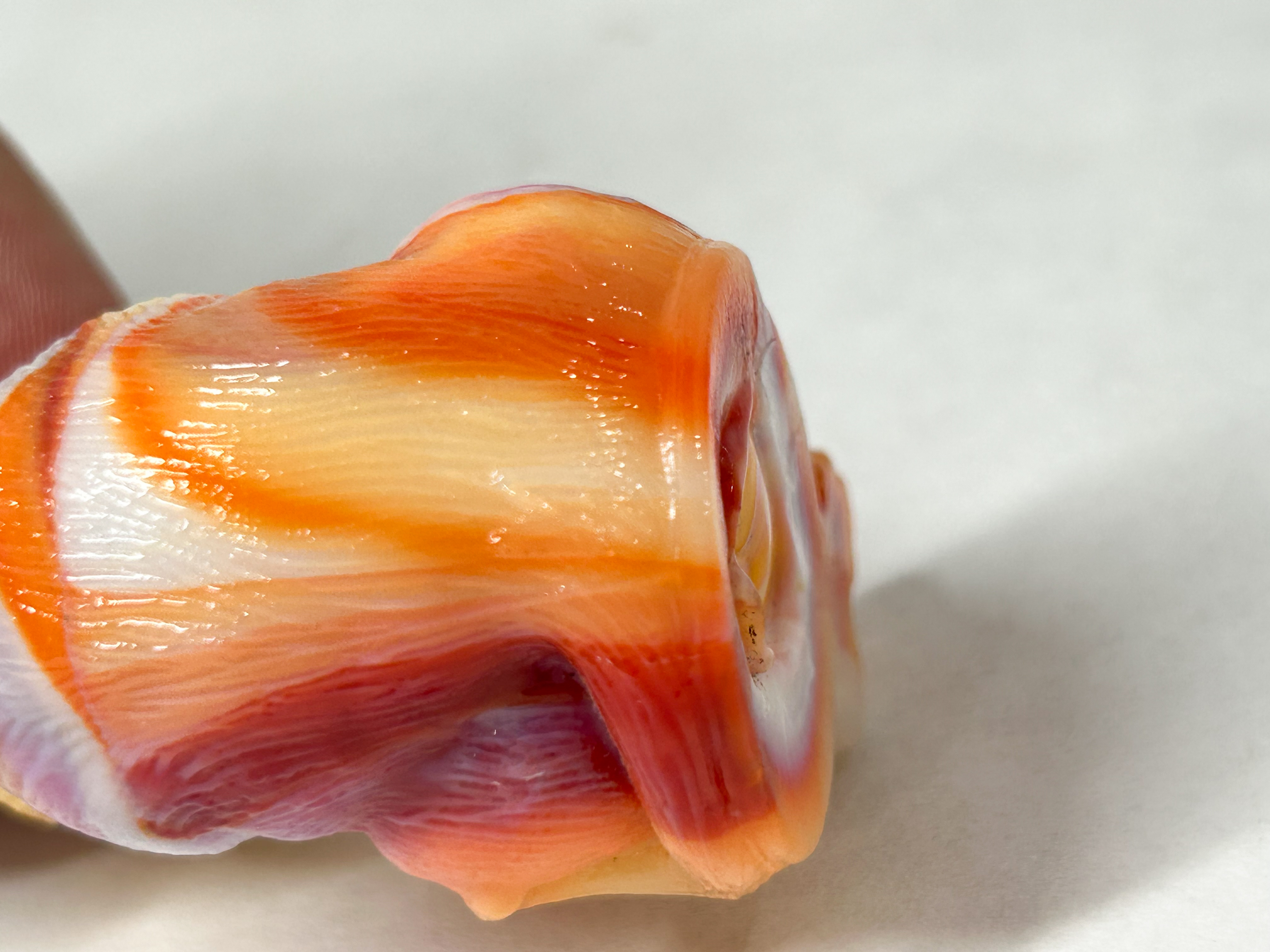 MARBLED SLAG GLASS MOSSER SITTING CAT
