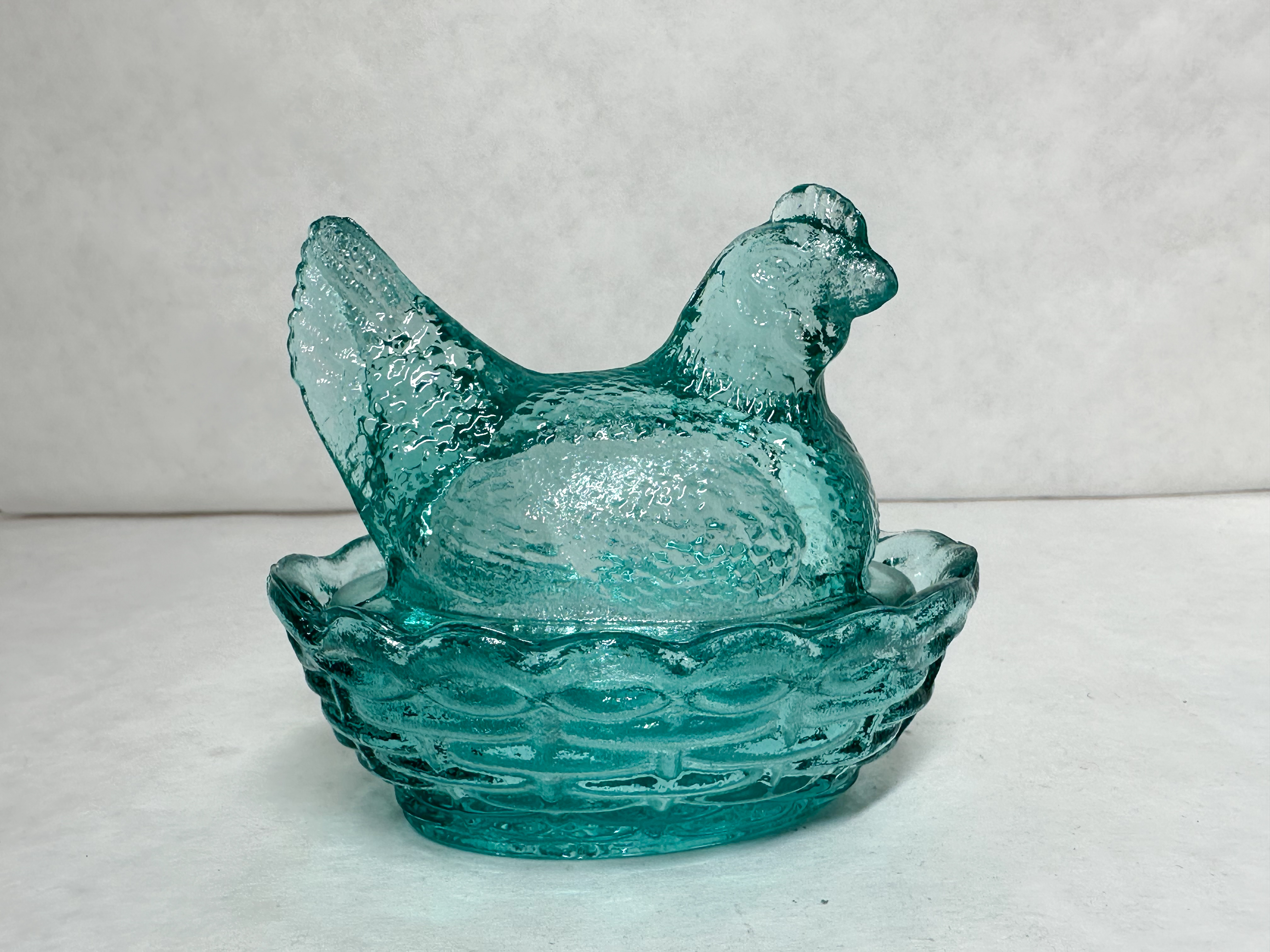 MOSSER TEAL HEN ON NEST