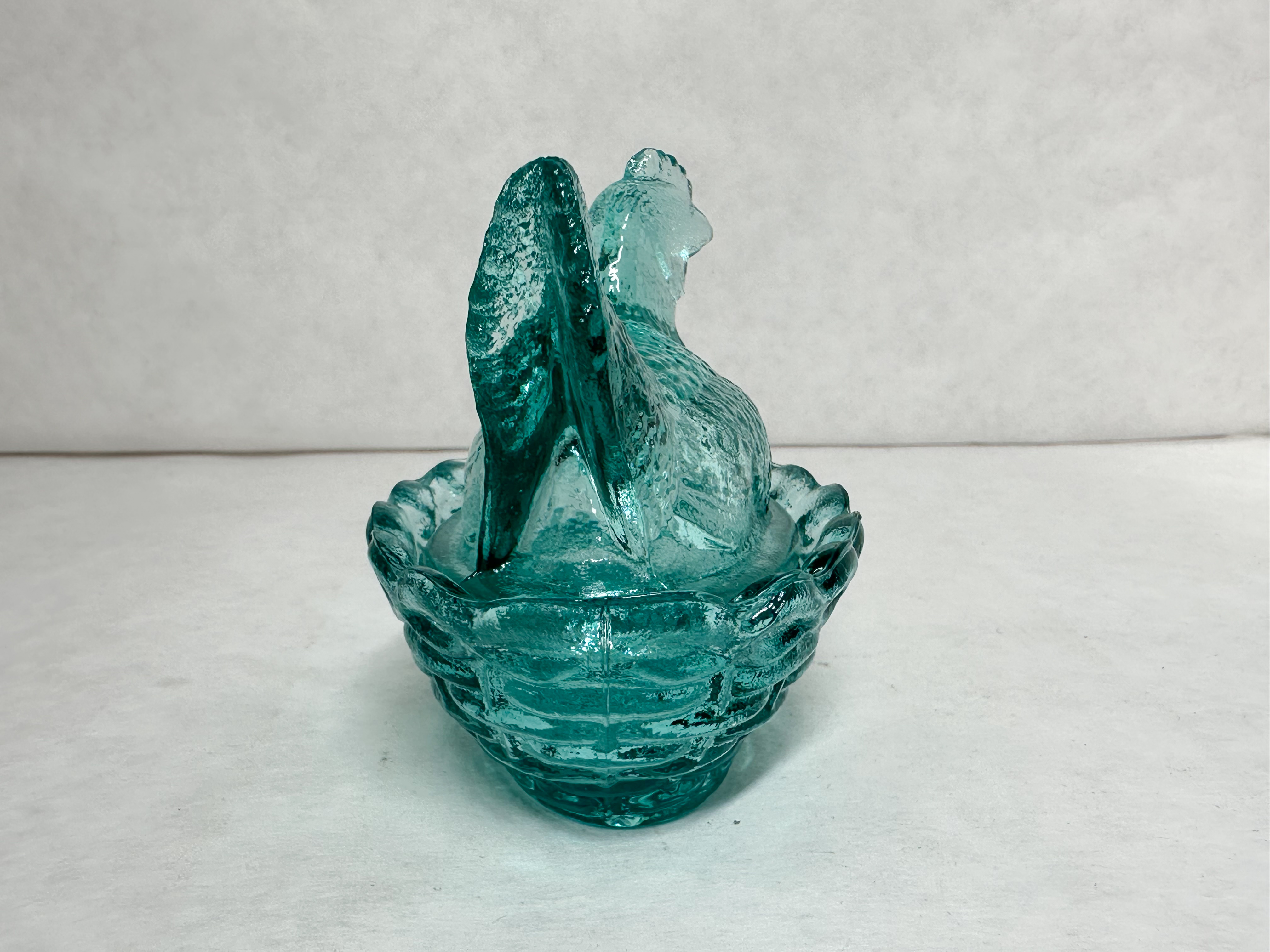 MOSSER TEAL HEN ON NEST