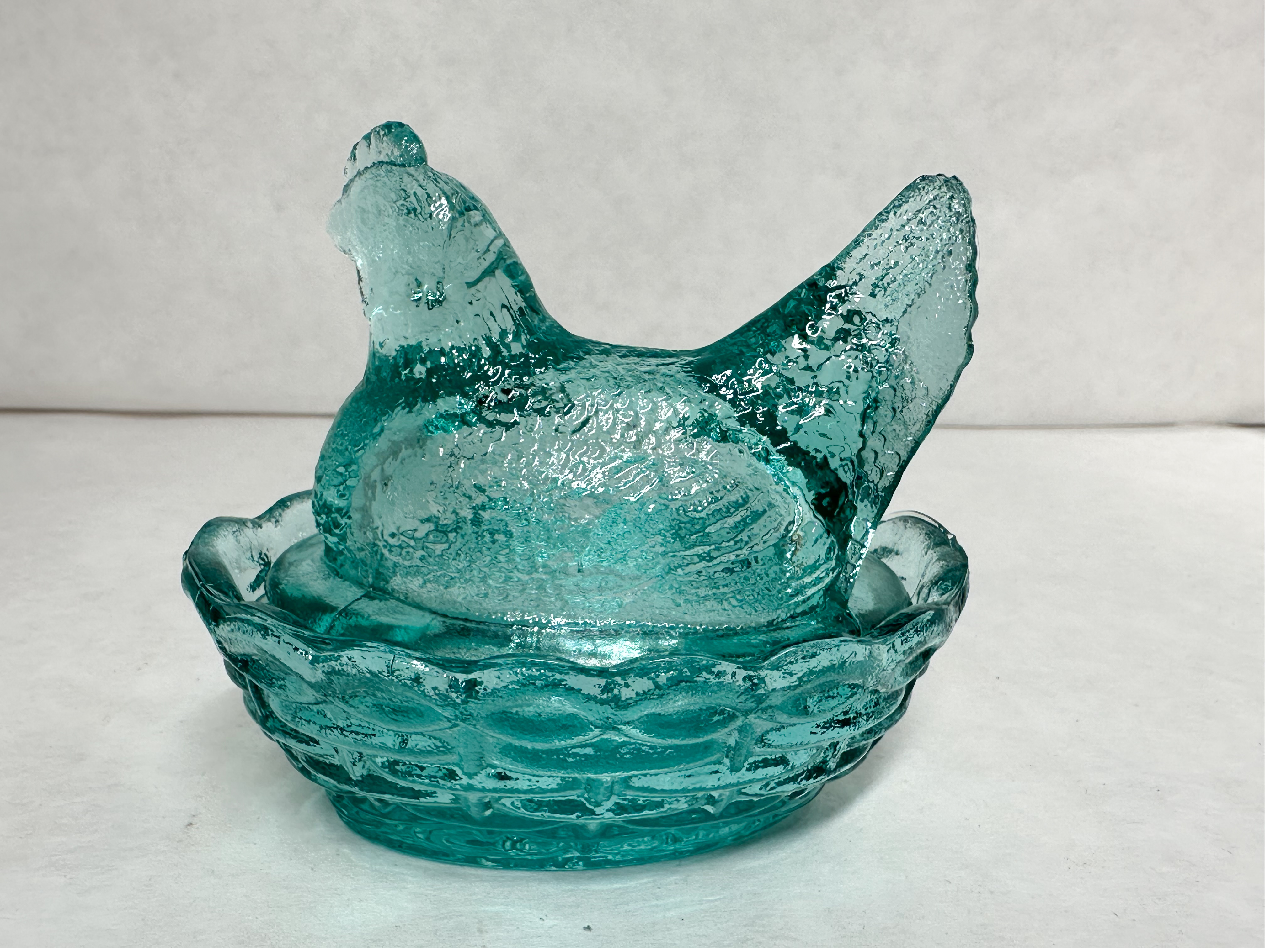 MOSSER TEAL HEN ON NEST