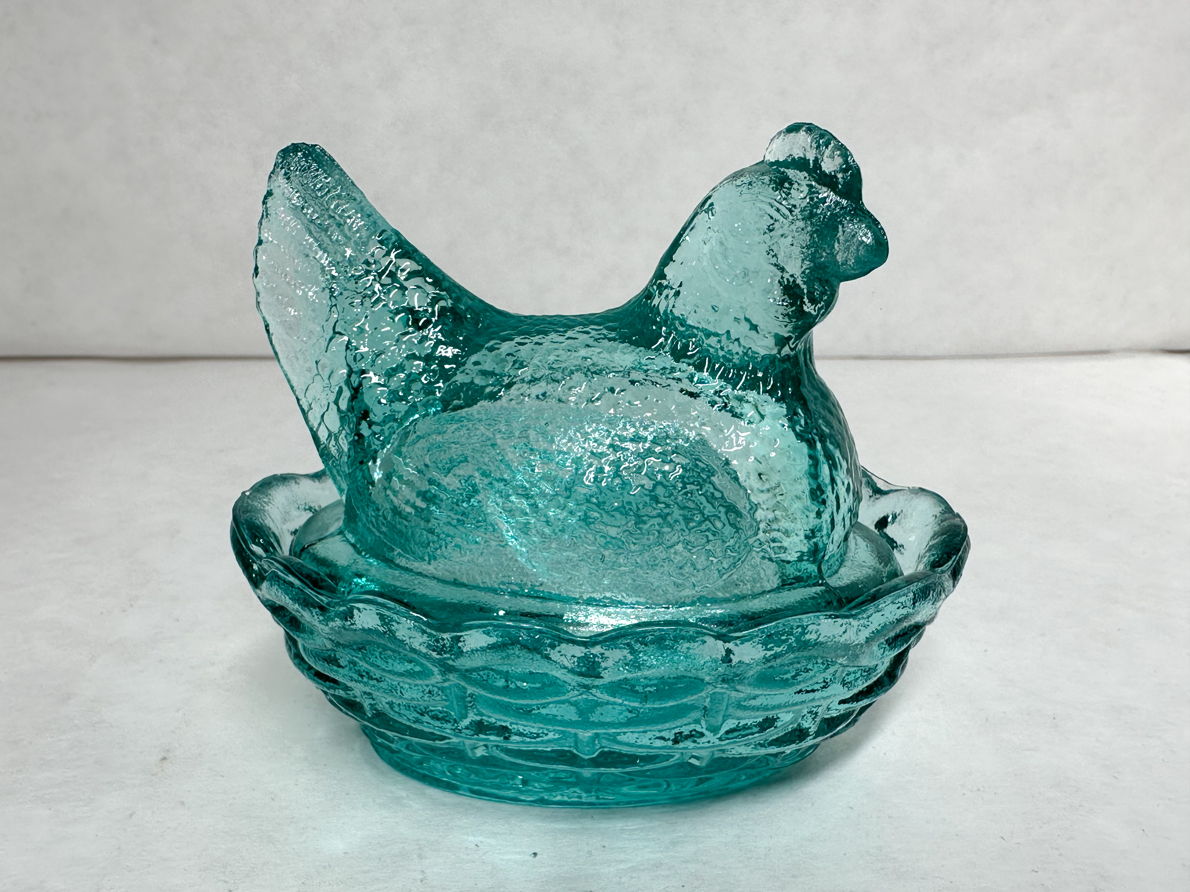 MOSSER TEAL HEN ON NEST