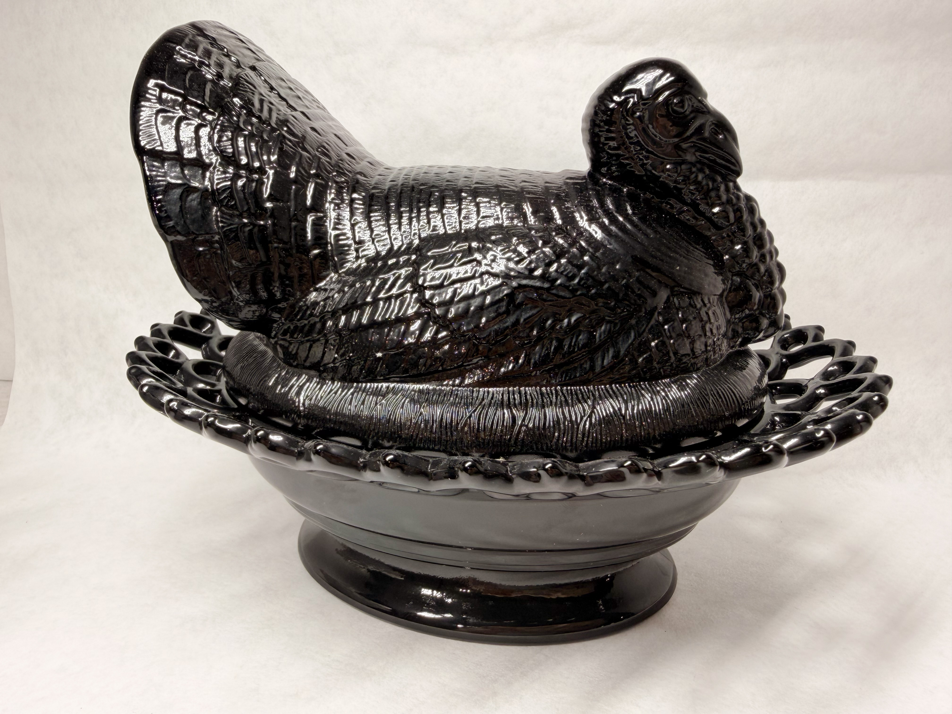 MOSSER BLACK TURKEY ON NEST