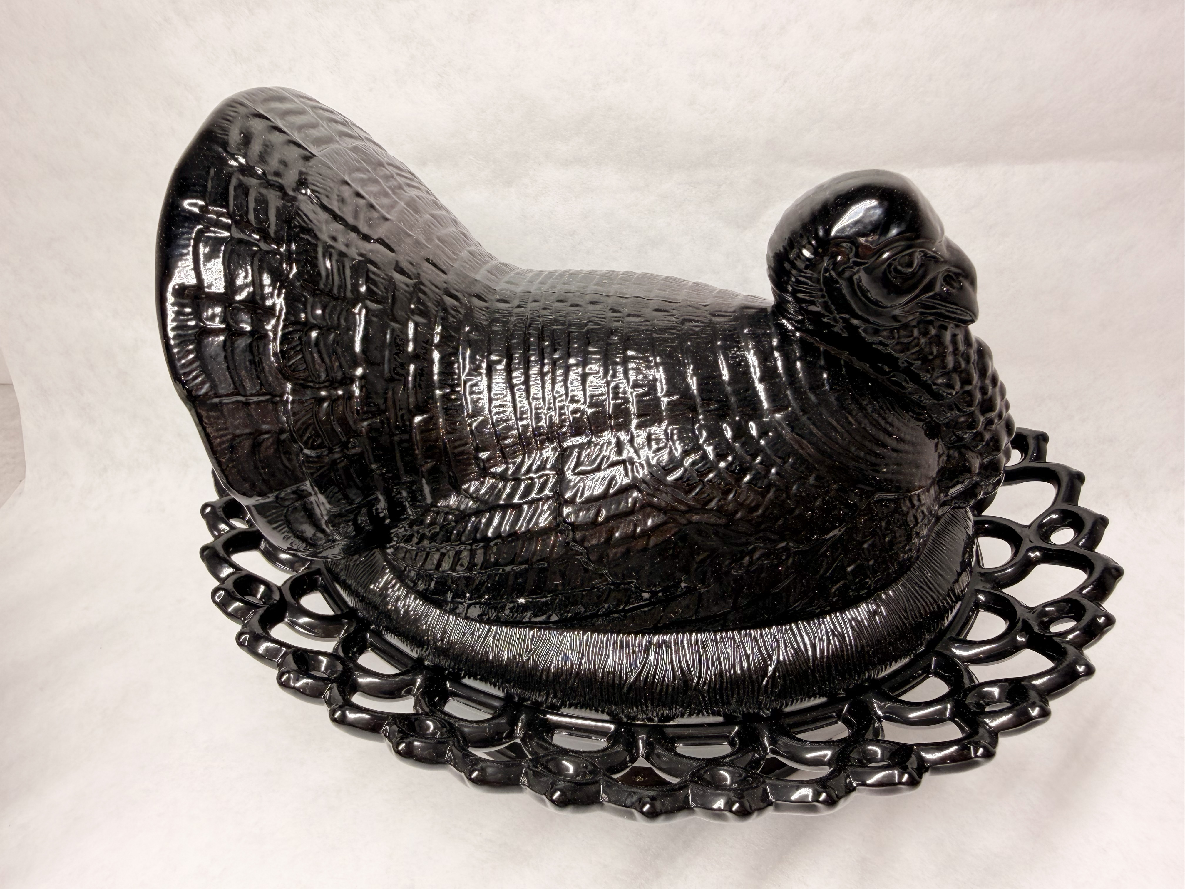MOSSER BLACK TURKEY ON NEST