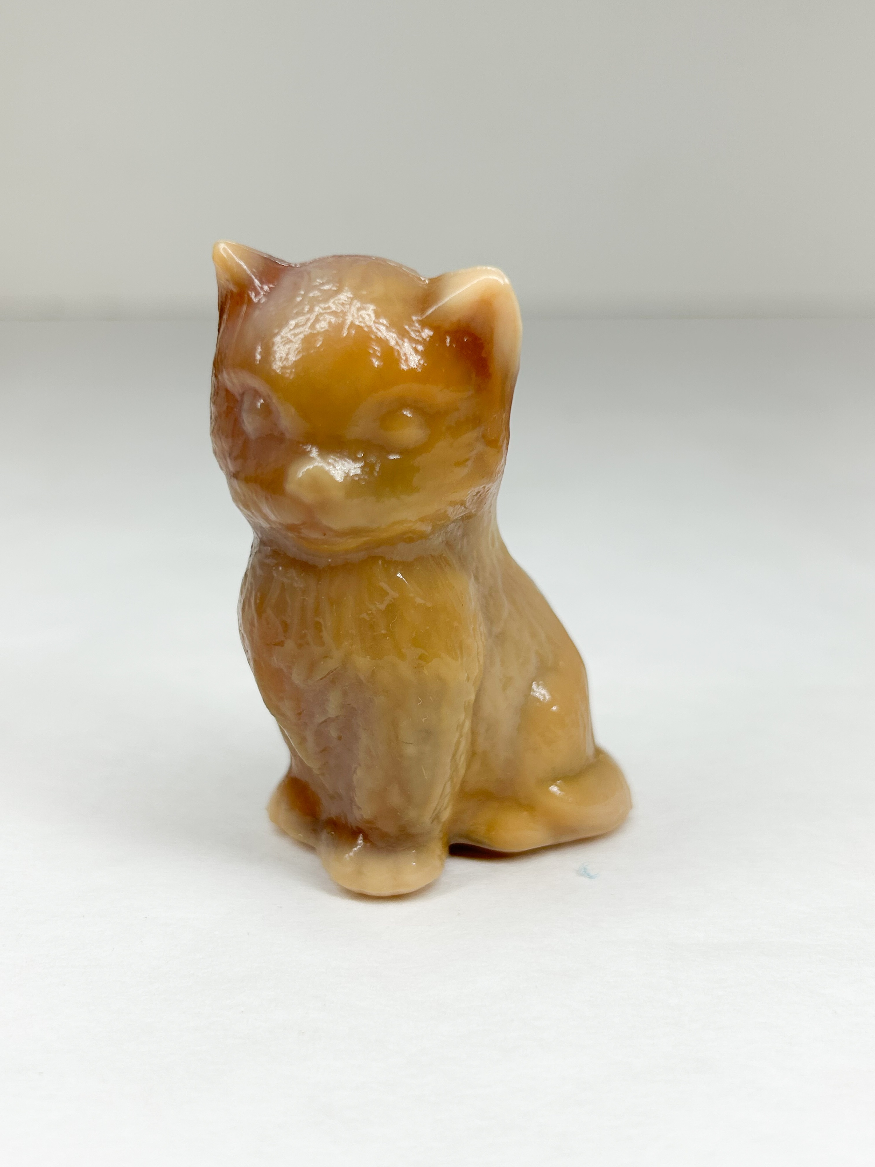 BOYD BUTTERSCOTCH MISS COTTON KITTEN
