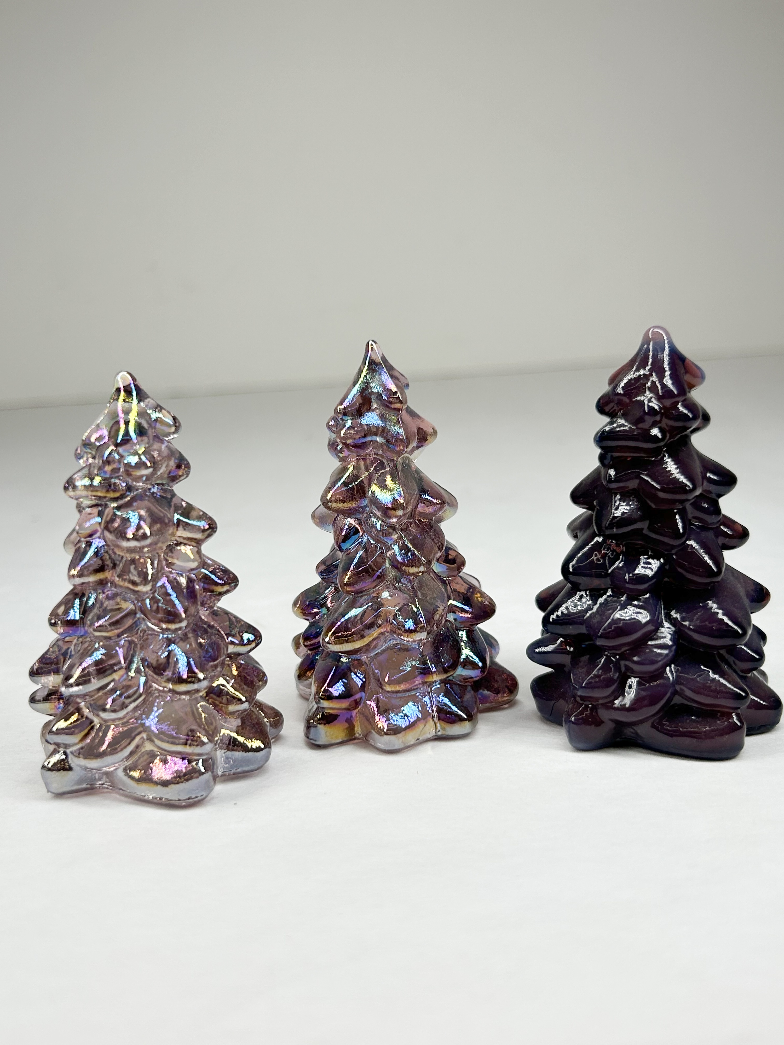 TRIO OF MINI MOSSER TREES