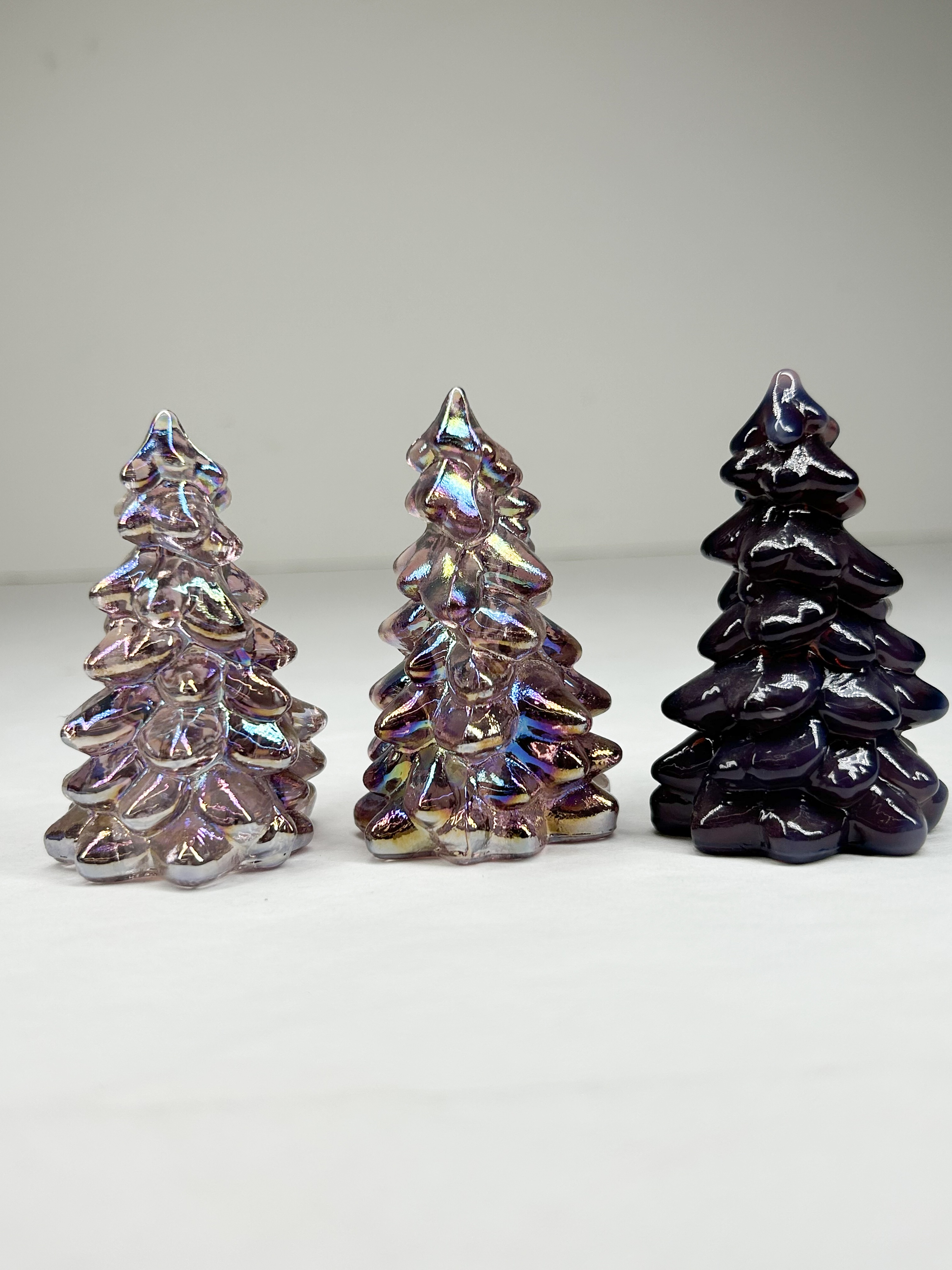 TRIO OF MINI MOSSER TREES