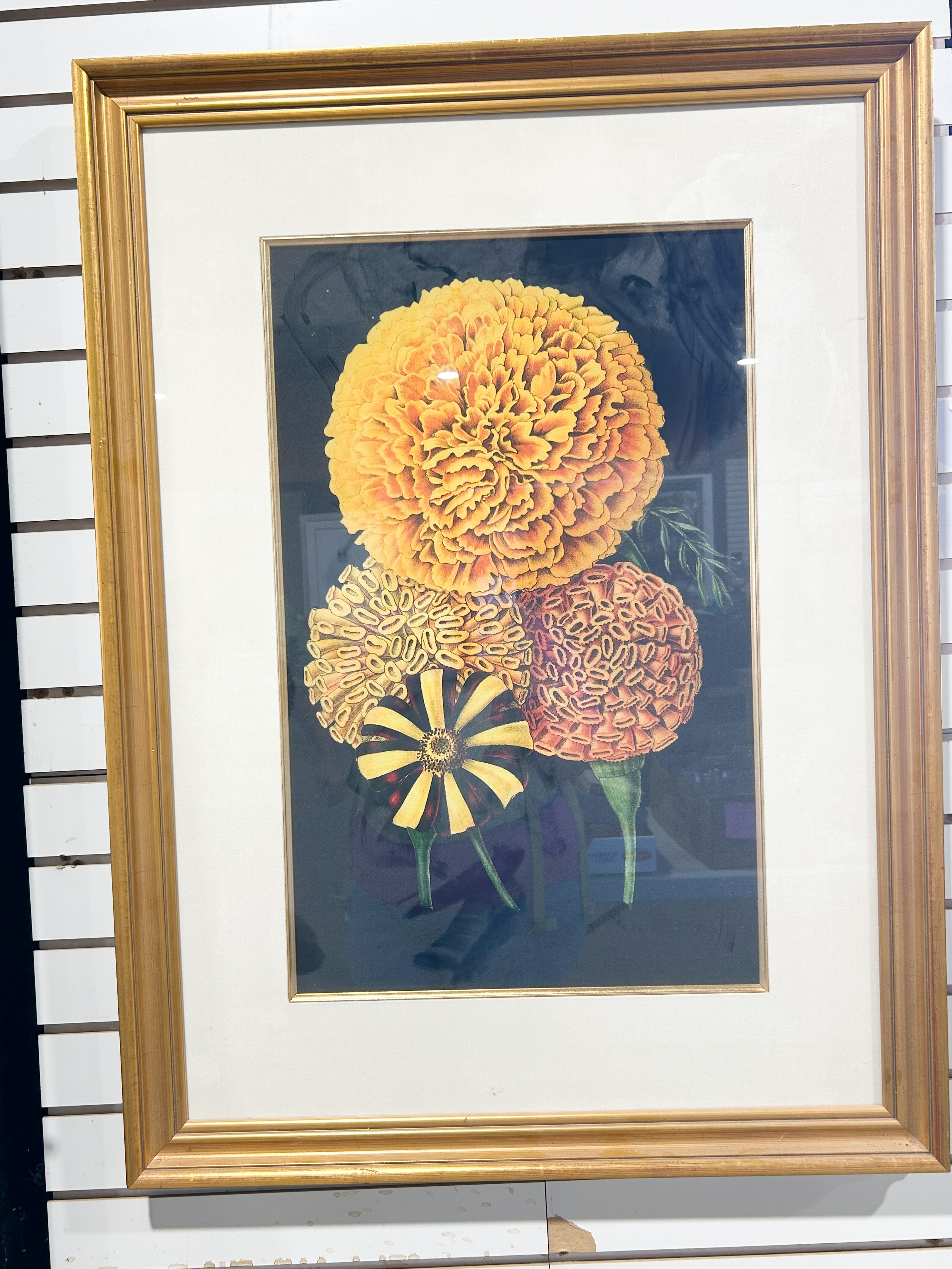 FRAMED BOTANICAL MARIGOLD LITHOGRAPH