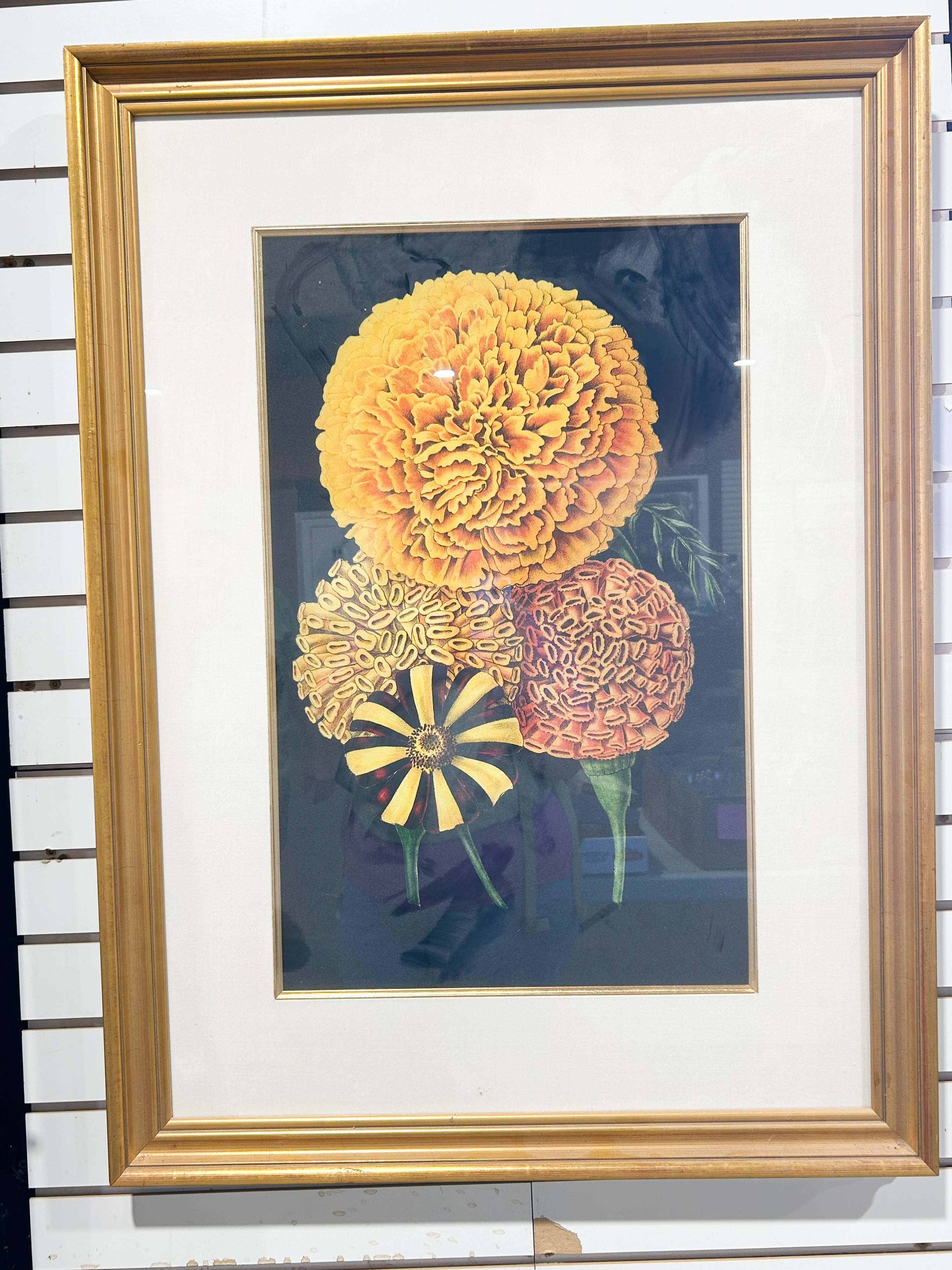 FRAMED BOTANICAL MARIGOLD LITHOGRAPH