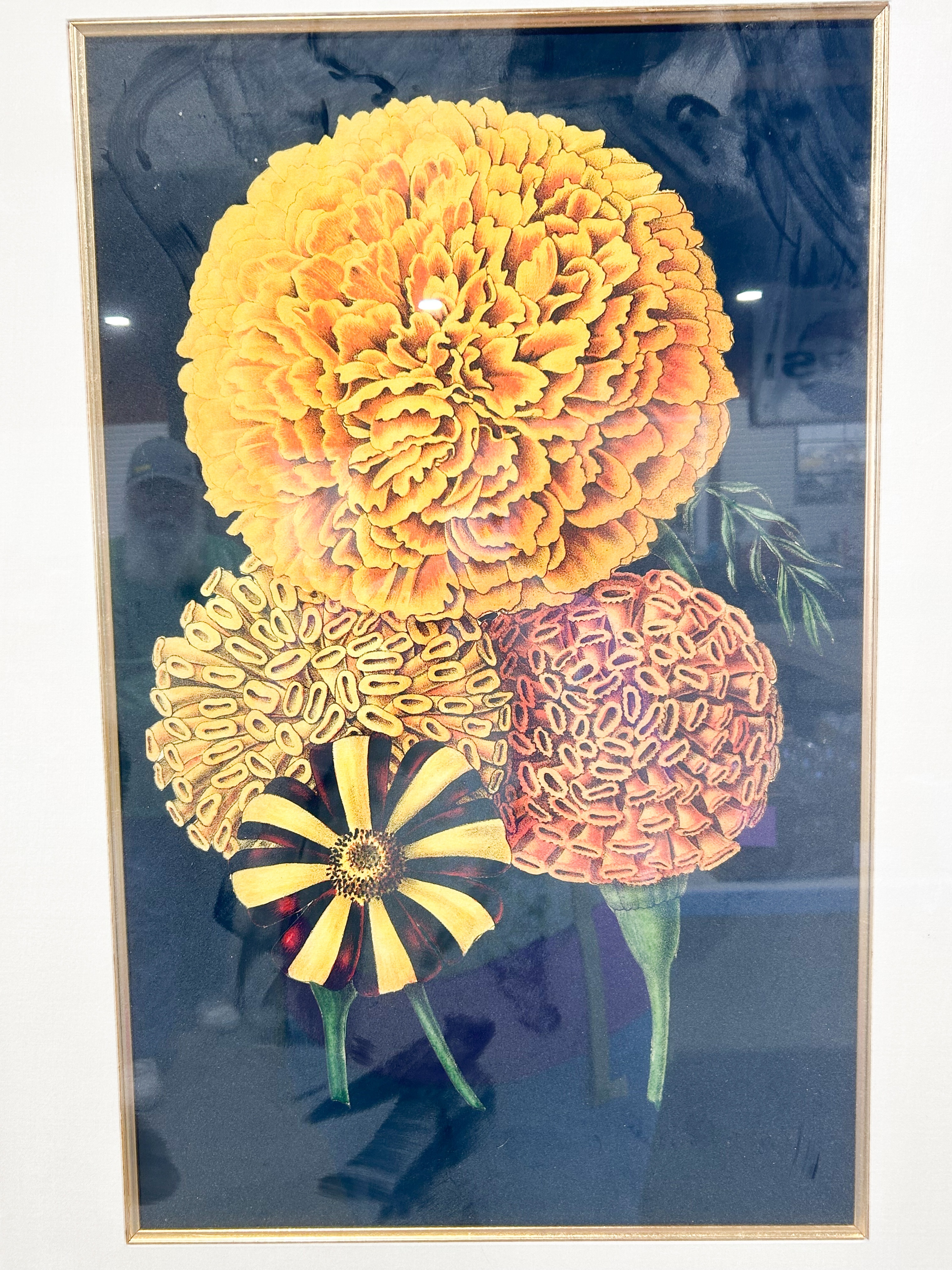FRAMED BOTANICAL MARIGOLD LITHOGRAPH